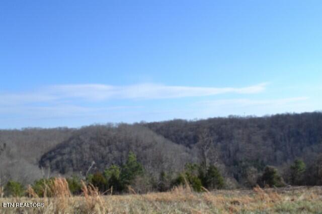 Lot 13 Lord Botetourt Court Baxter TN 38544