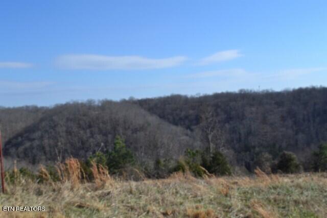 Lot 13 Lord Botetourt Court Baxter TN 38544
