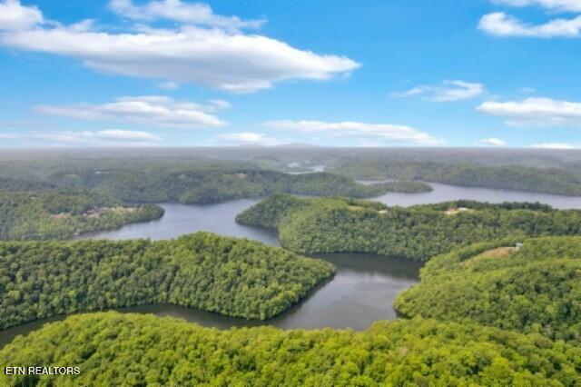 Lot 13 Lord Botetourt Court Baxter TN 38544