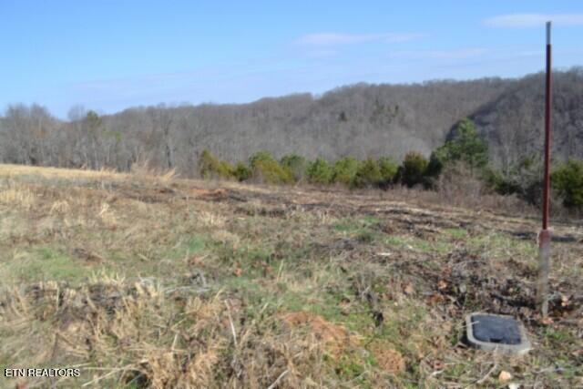 Lot 13 Lord Botetourt Court Baxter TN 38544