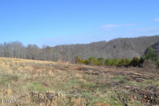 Lot 13 Lord Botetourt Court Baxter TN 38544