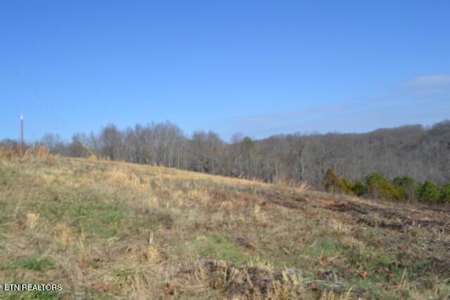 Lot 13 Lord Botetourt Court Baxter TN 38544