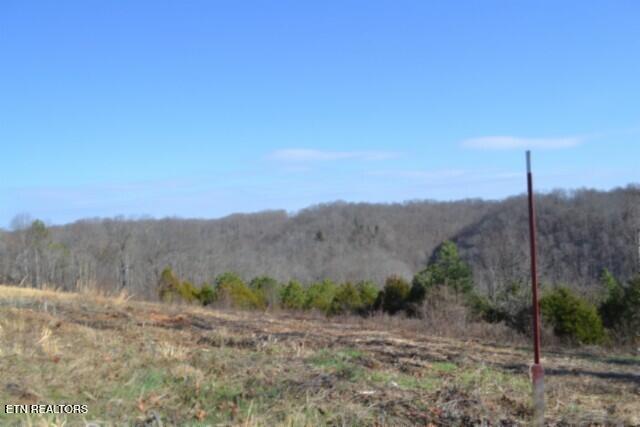 Lot 13 Lord Botetourt Court Baxter TN 38544