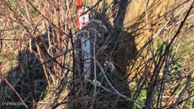 Lot 13 Lord Botetourt Court Baxter TN 38544