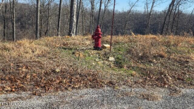Lot 13 Lord Botetourt Court Baxter TN 38544