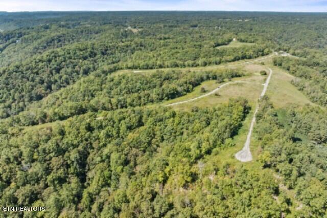 Lot 13 Lord Botetourt Court Baxter TN 38544