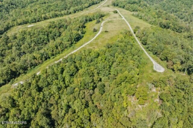 Lot 13 Lord Botetourt Court Baxter TN 38544