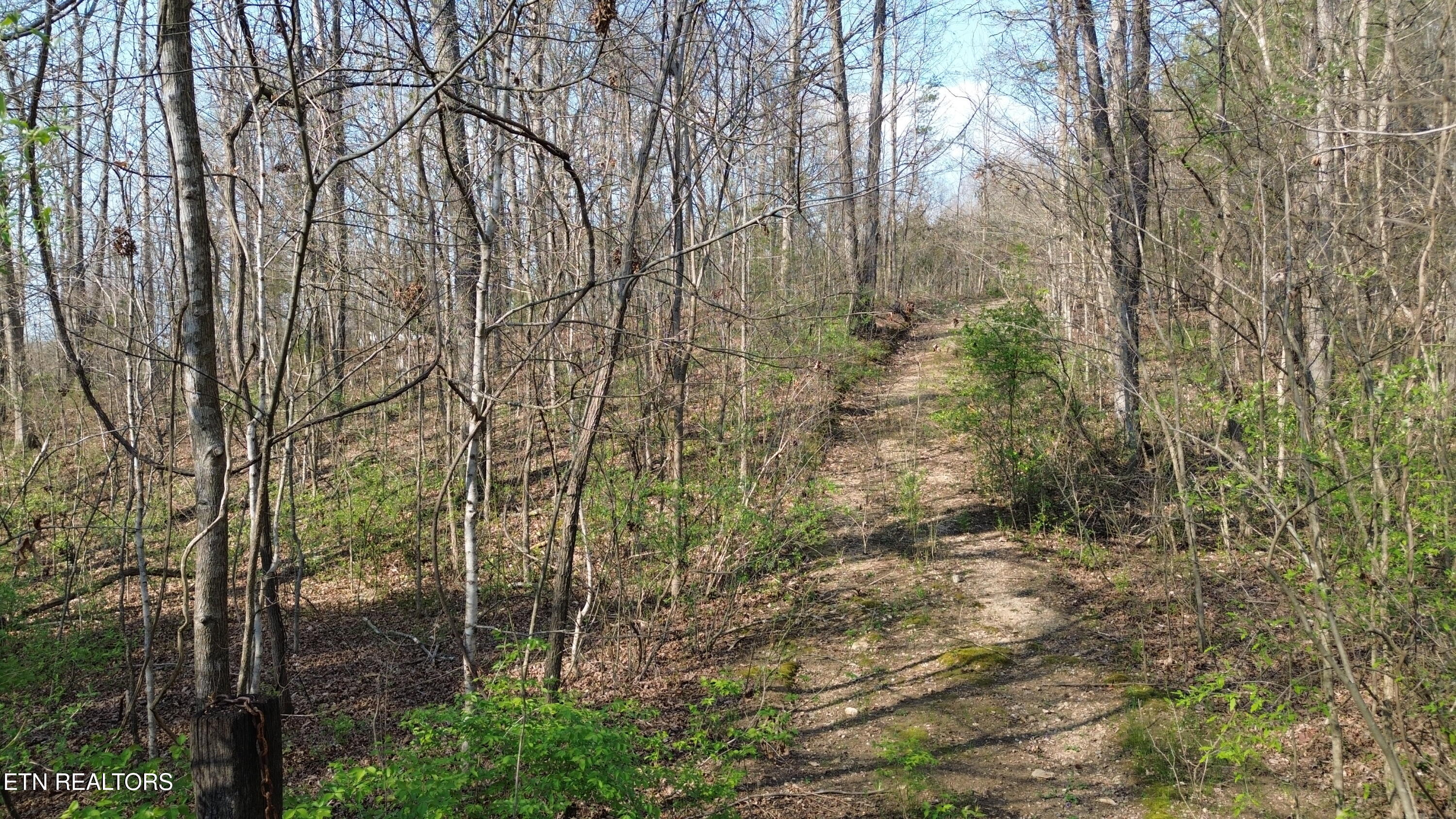 0 County Road 860 Delano TN 37325