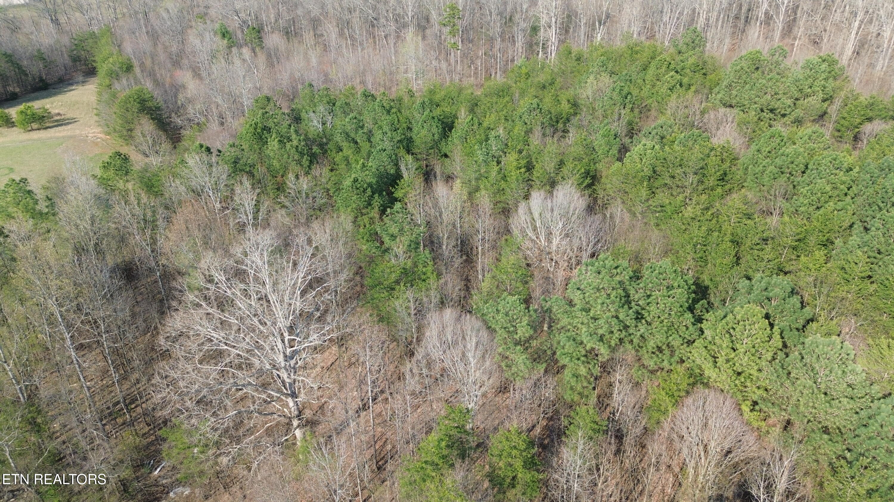 0 County Road 860 Delano TN 37325