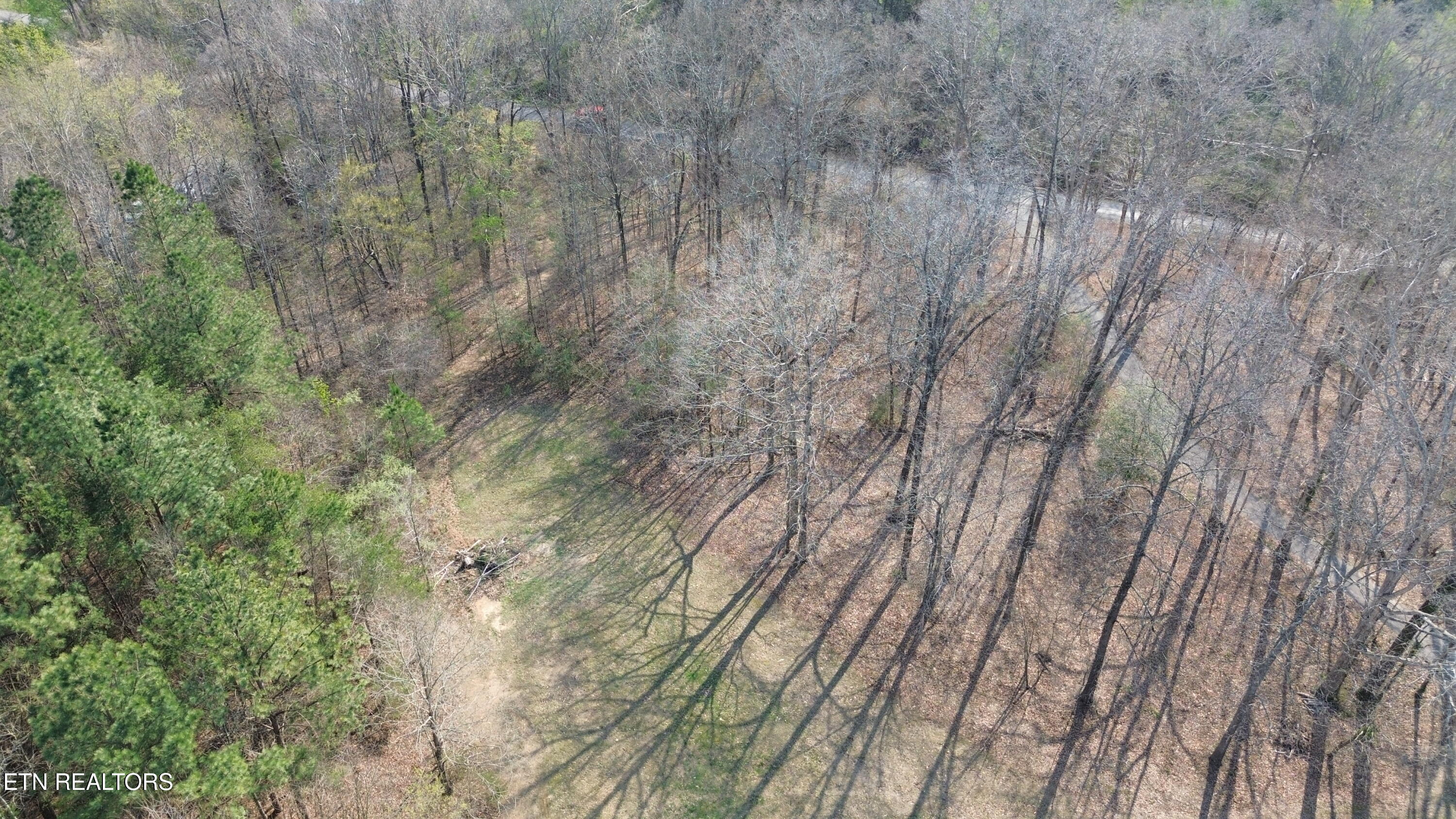 0 County Road 860 Delano TN 37325