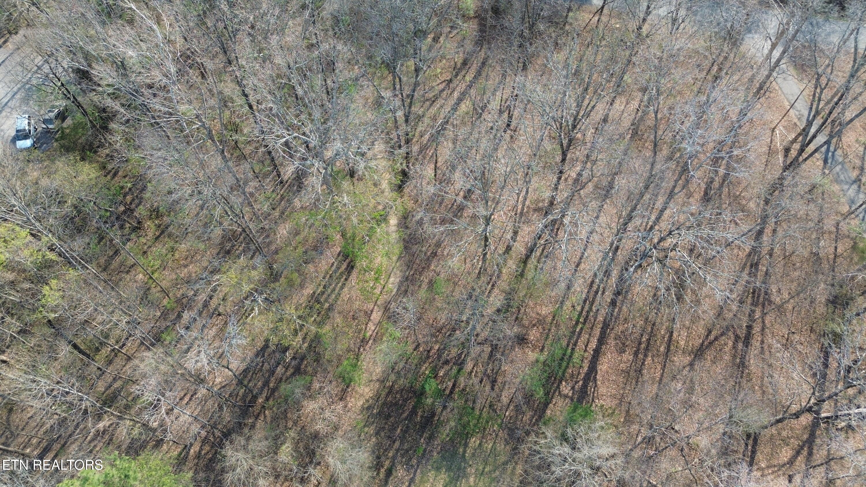 0 County Road 860 Delano TN 37325