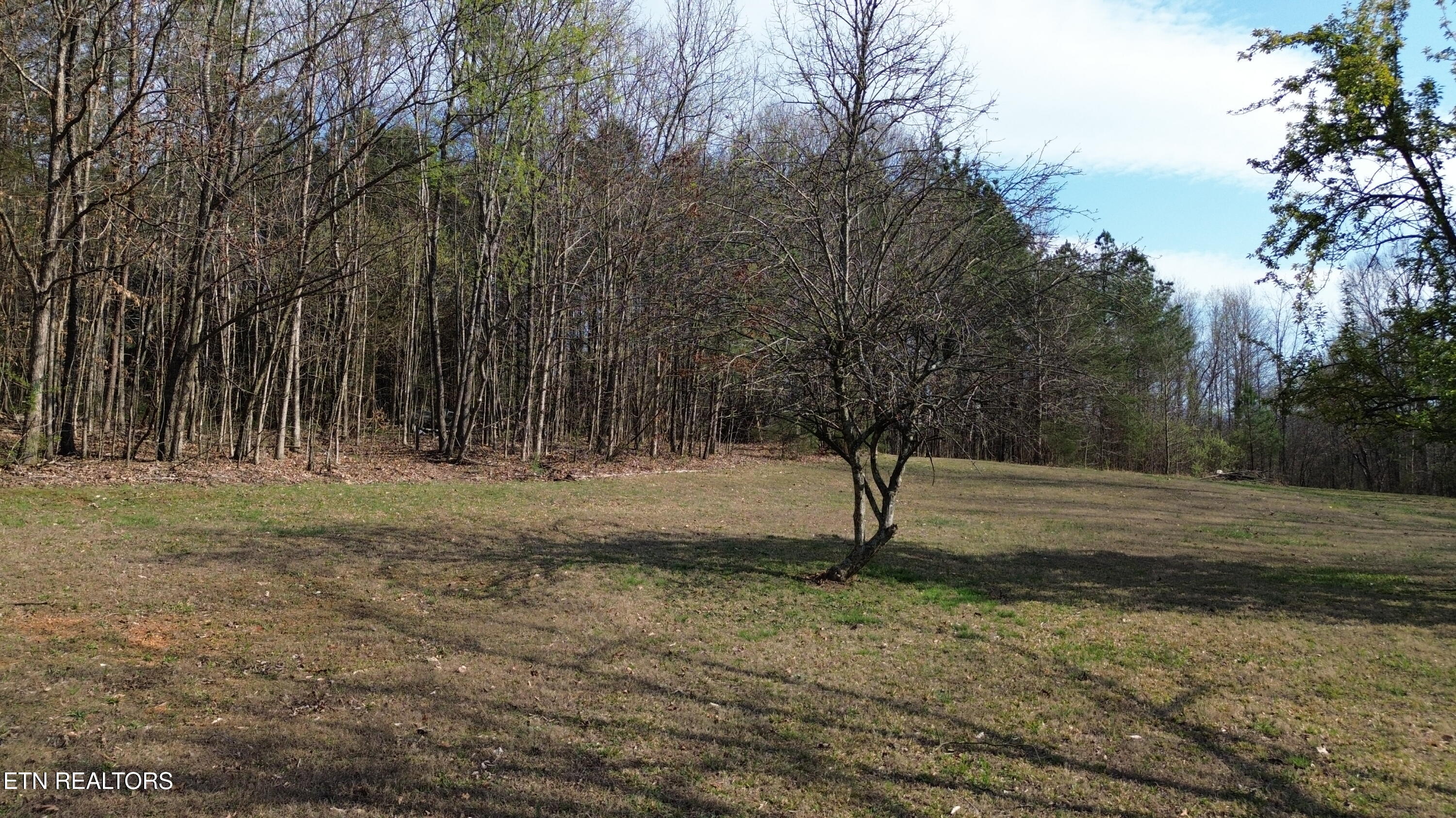 0 County Road 860 Delano TN 37325