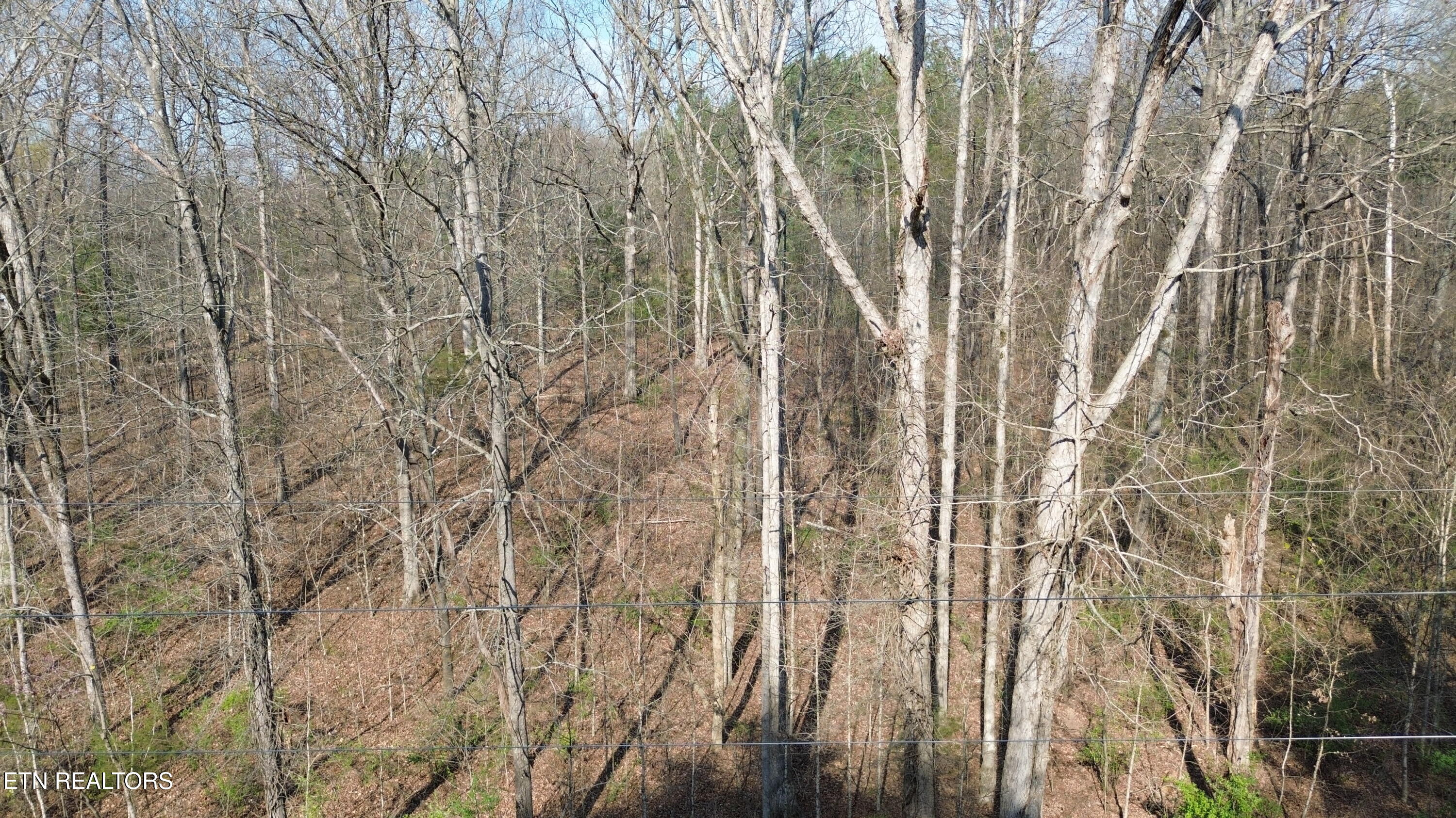 0 County Road 860 Delano TN 37325