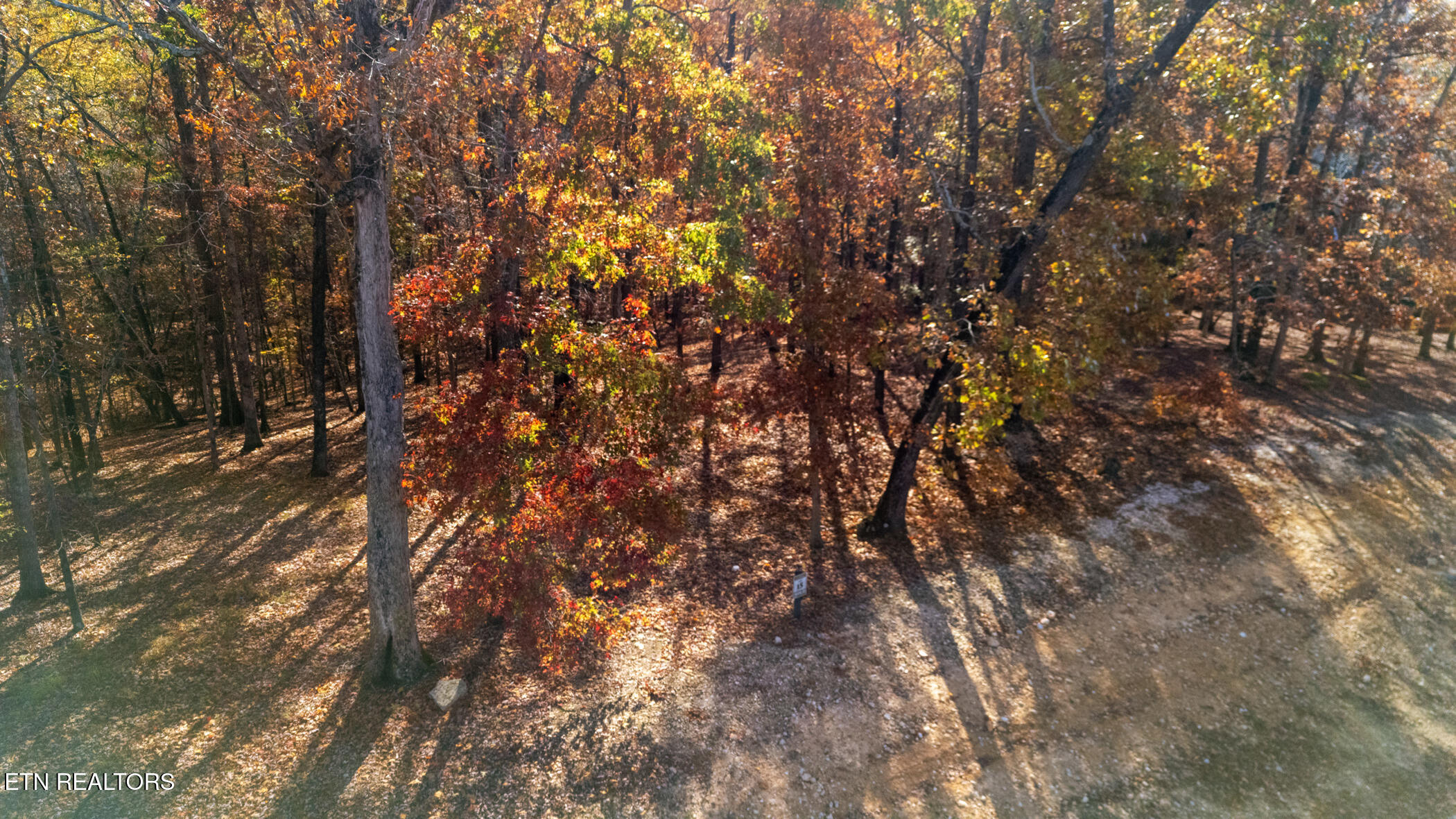 2148 Old Dogwood Trail Loudon TN 37774