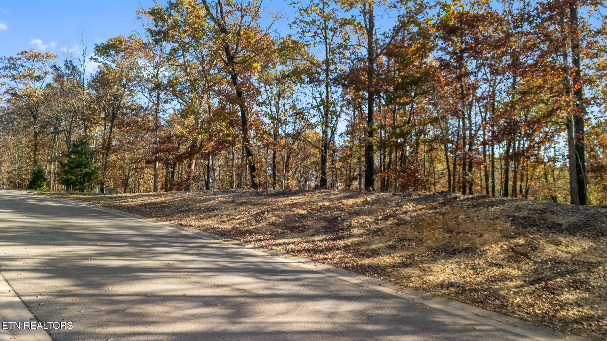 2148 Old Dogwood Trail Loudon TN 37774