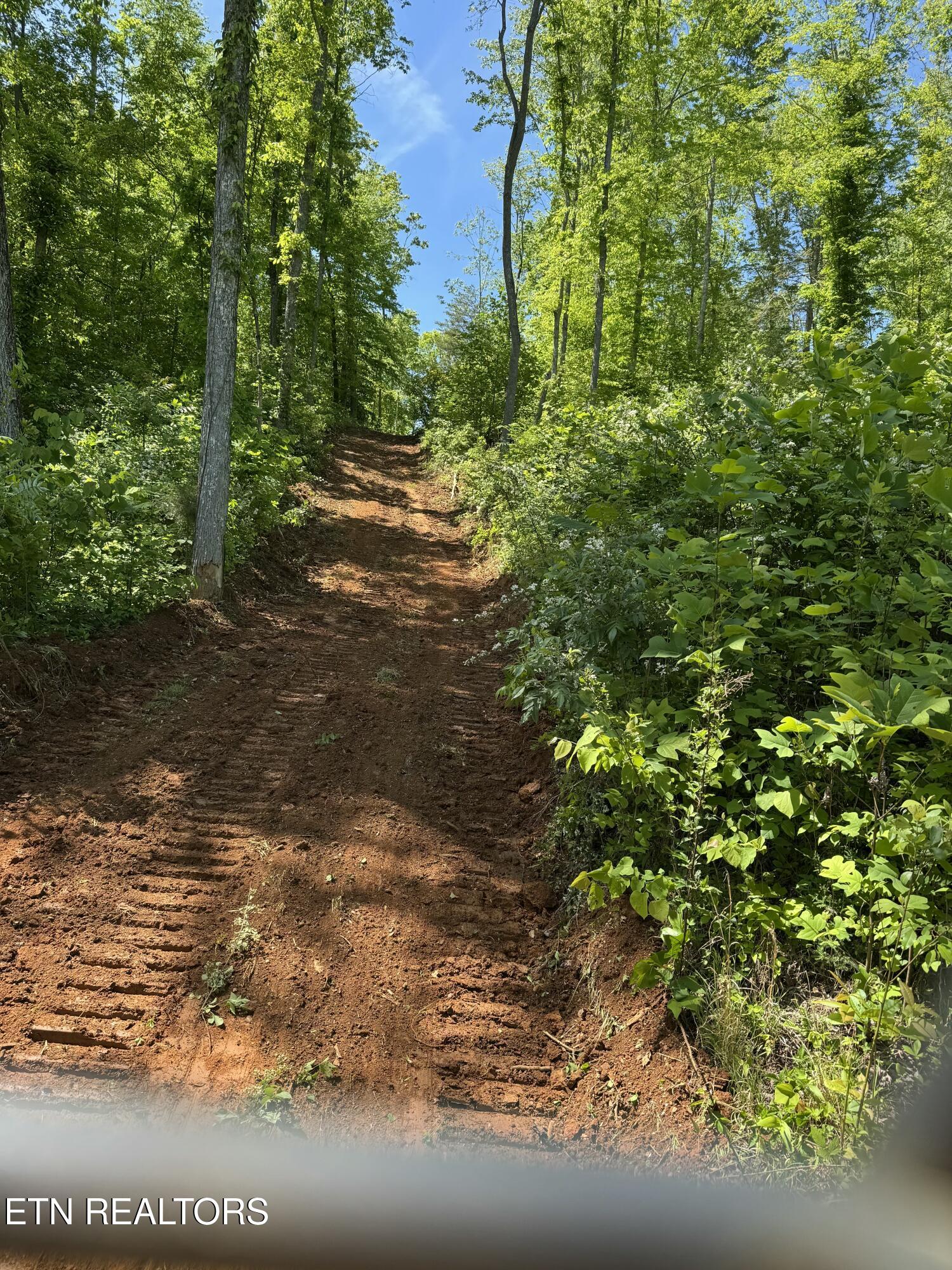 110 Braden Chapel Road Speedwell TN 37870