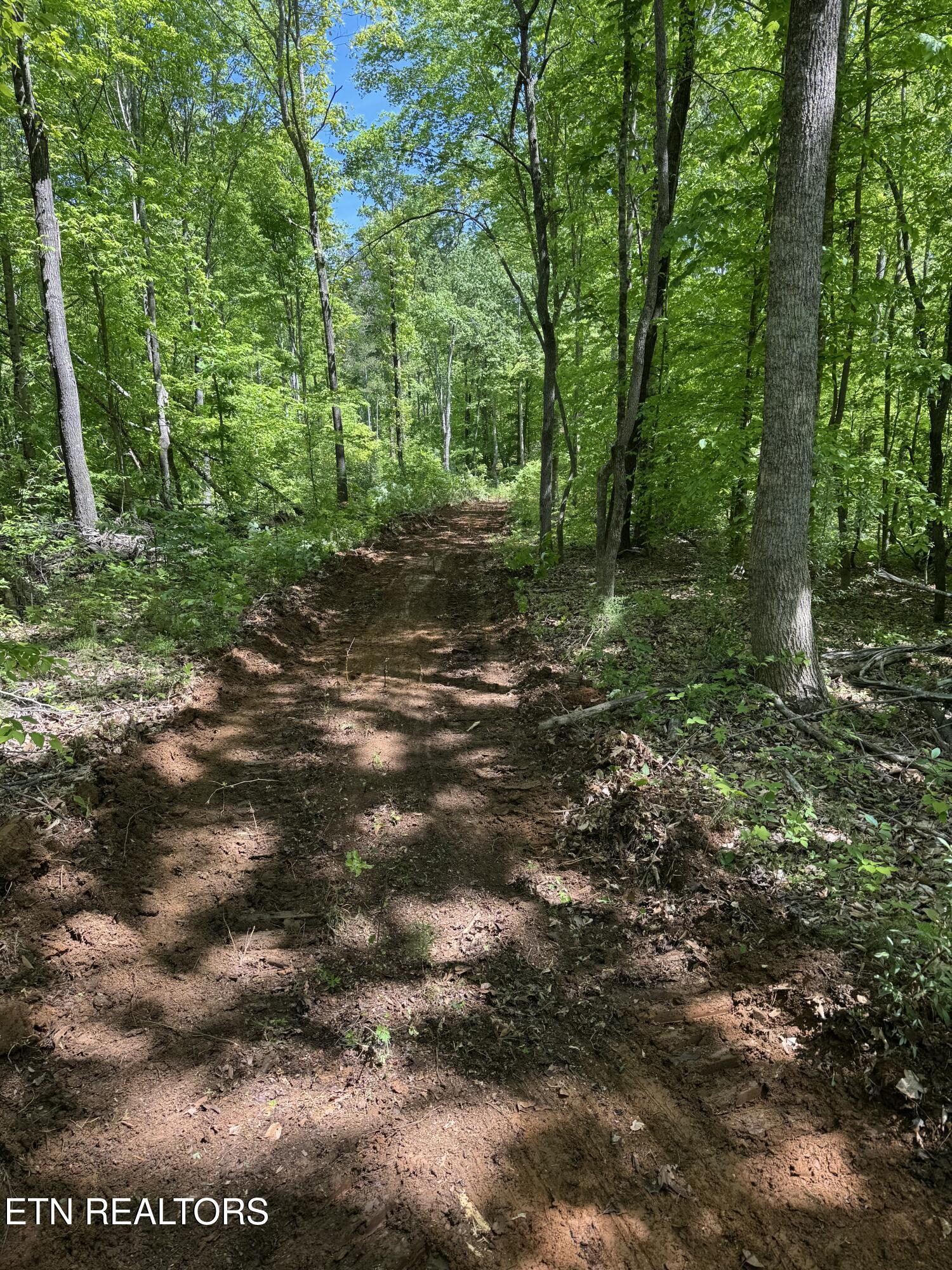 110 Braden Chapel Road Speedwell TN 37870