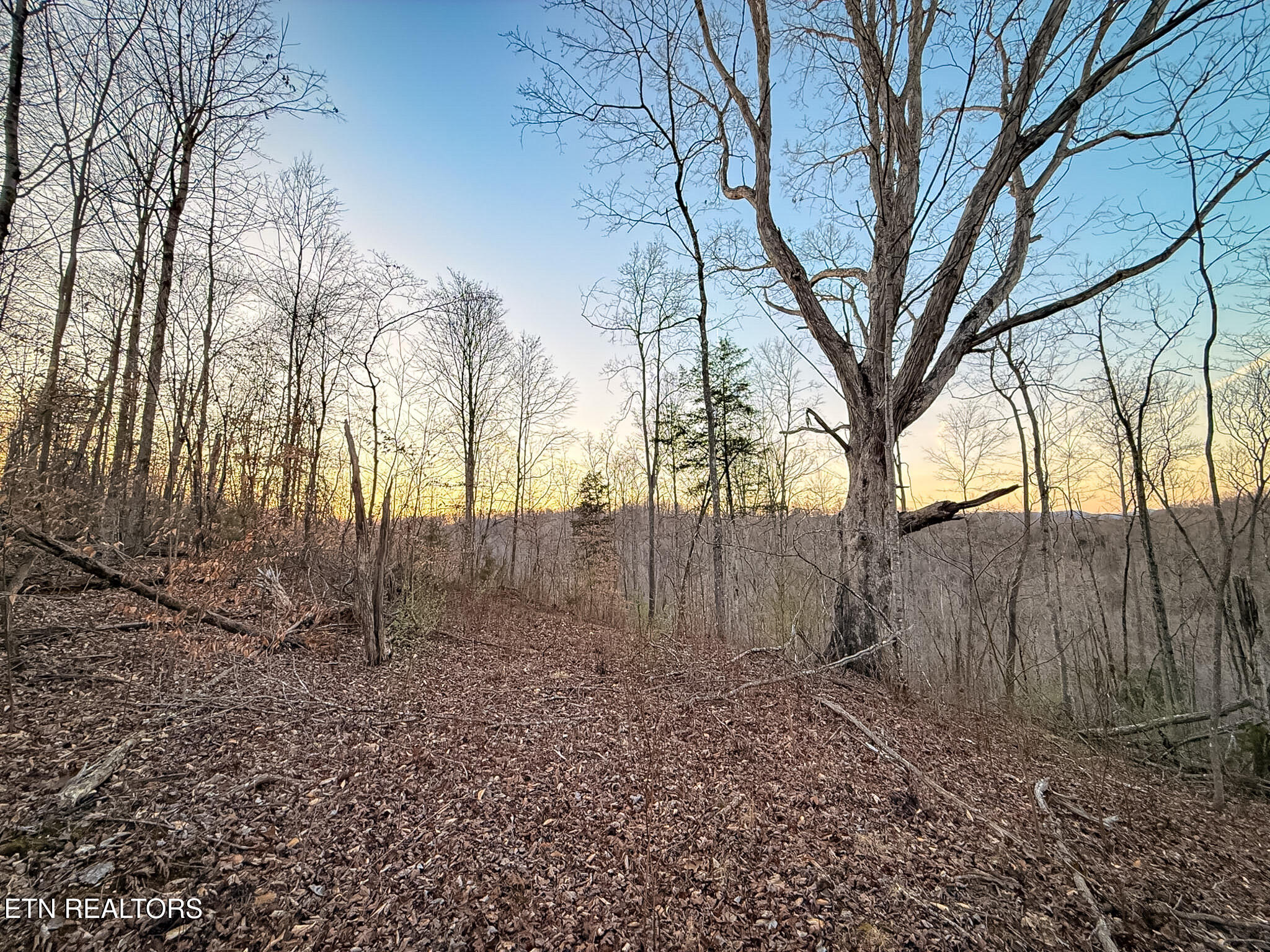 110 Braden Chapel Road Speedwell TN 37870