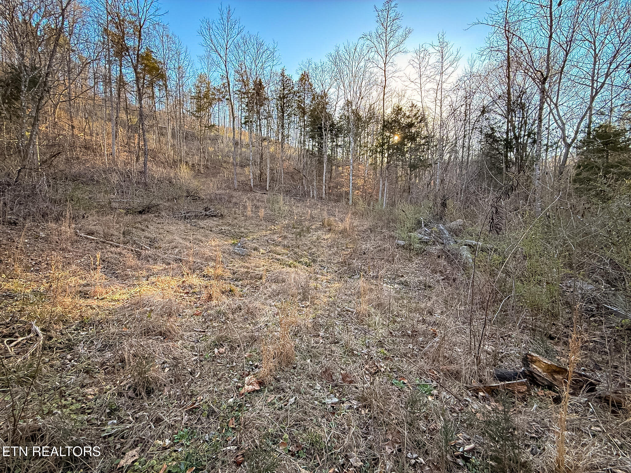 110 Braden Chapel Road Speedwell TN 37870