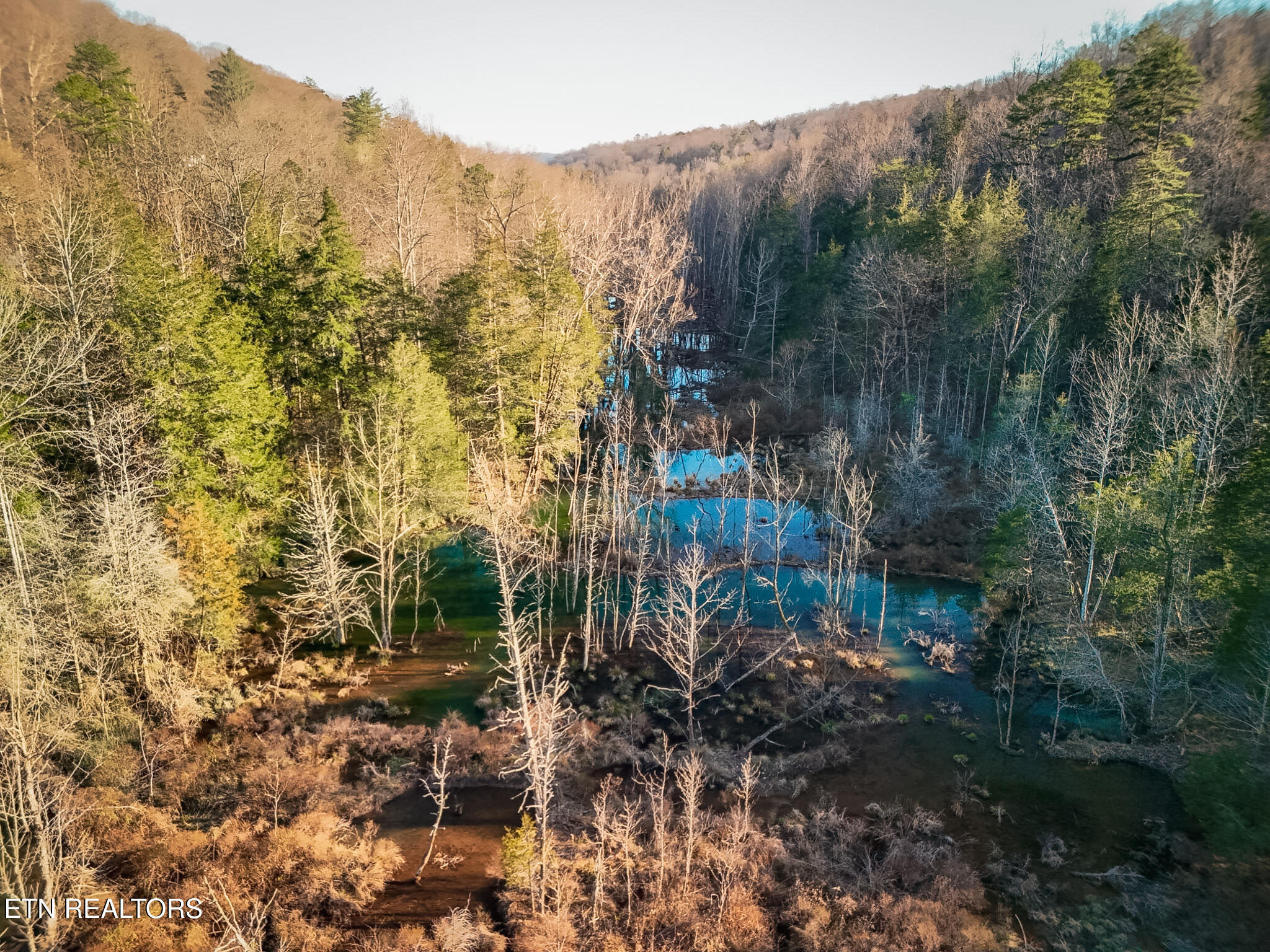 110 Braden Chapel Road Speedwell TN 37870