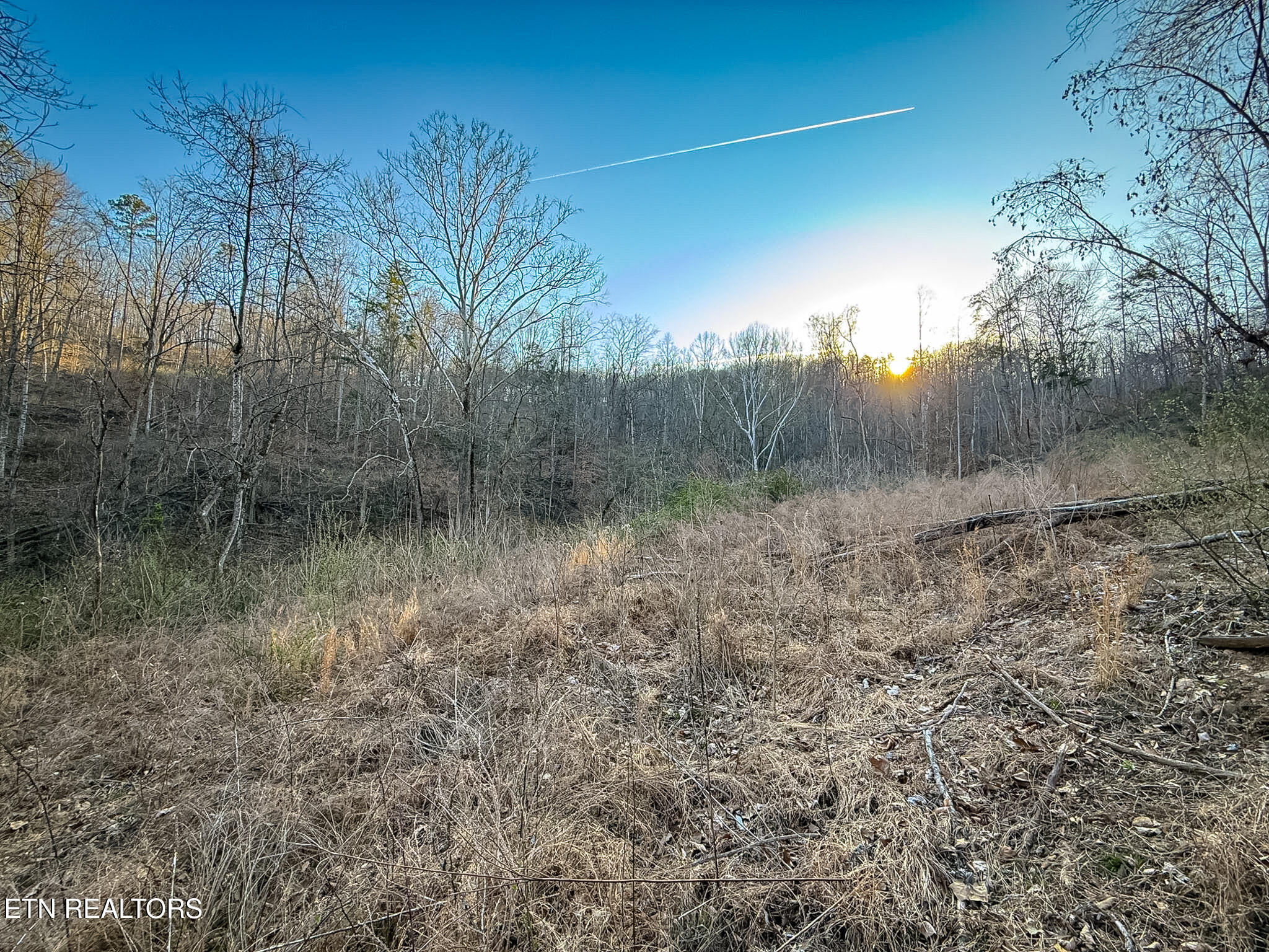 110 Braden Chapel Road Speedwell TN 37870