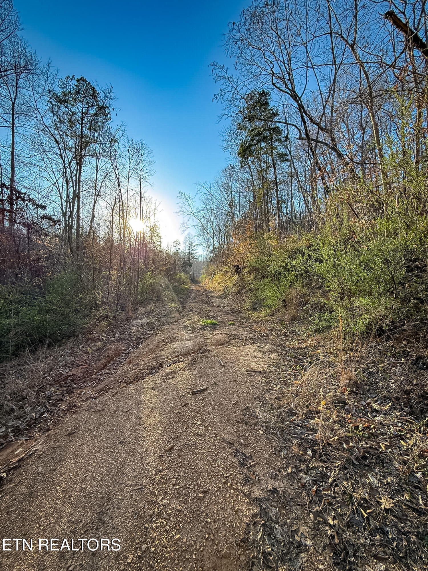 110 Braden Chapel Road Speedwell TN 37870