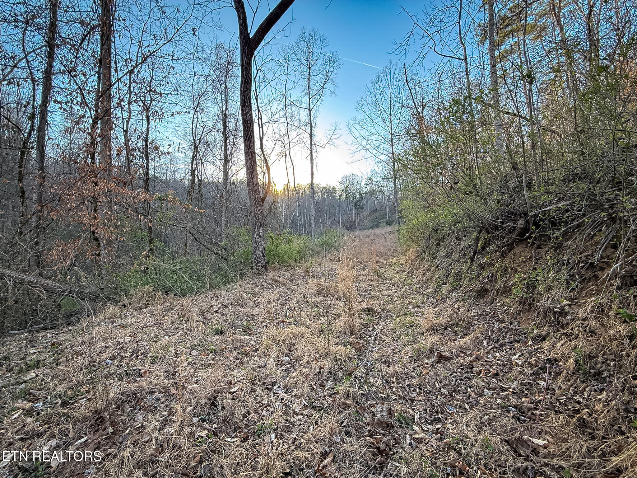 110 Braden Chapel Road Speedwell TN 37870