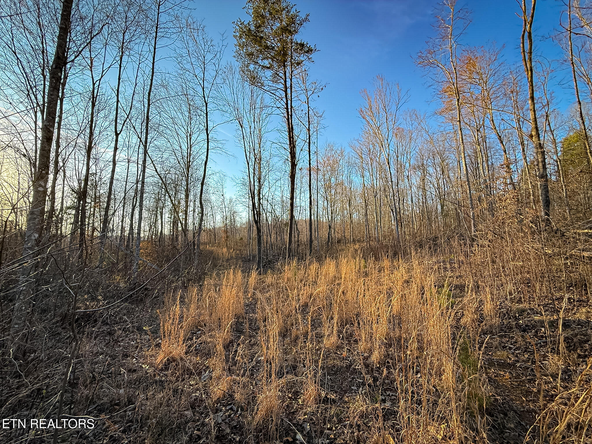 110 Braden Chapel Road Speedwell TN 37870