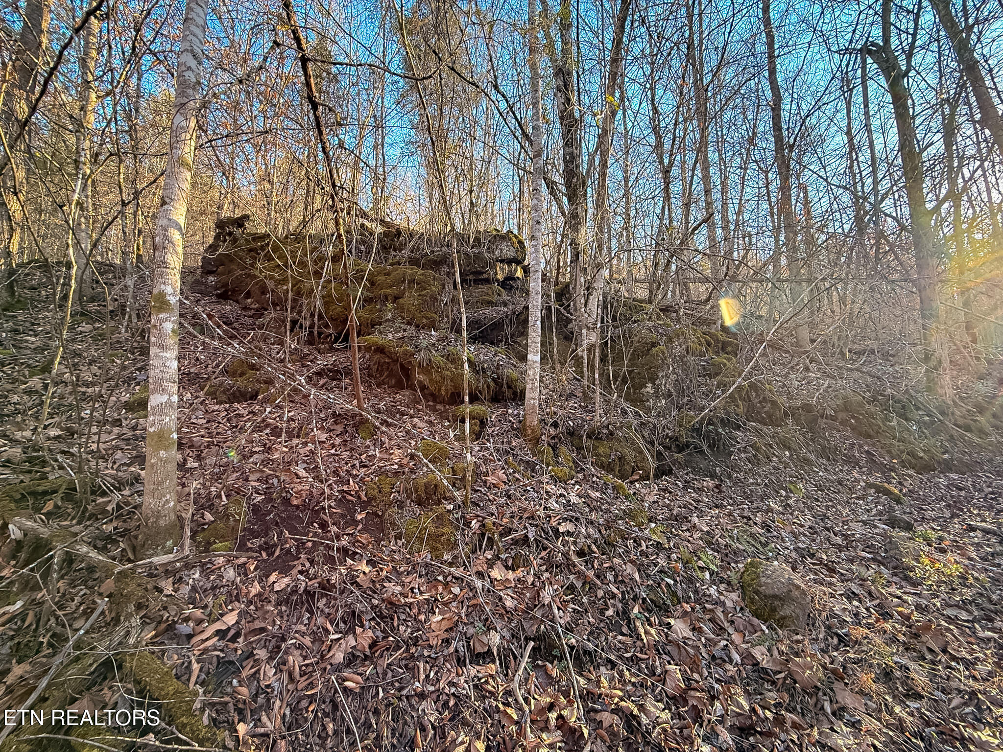110 Braden Chapel Road Speedwell TN 37870