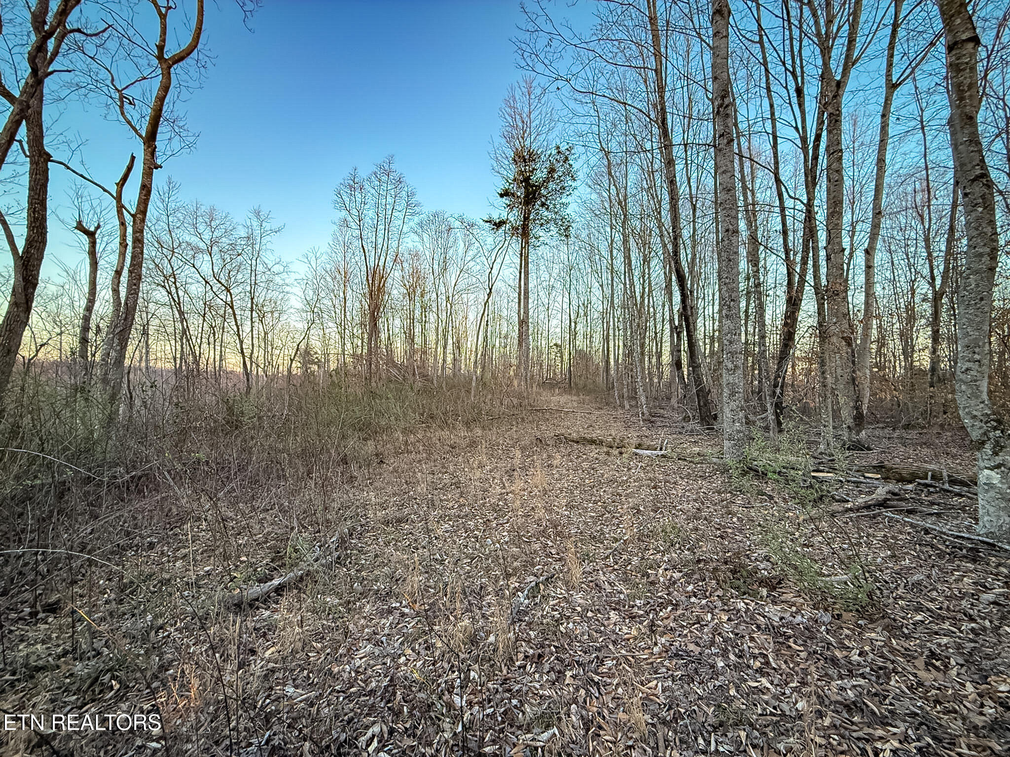 110 Braden Chapel Road Speedwell TN 37870
