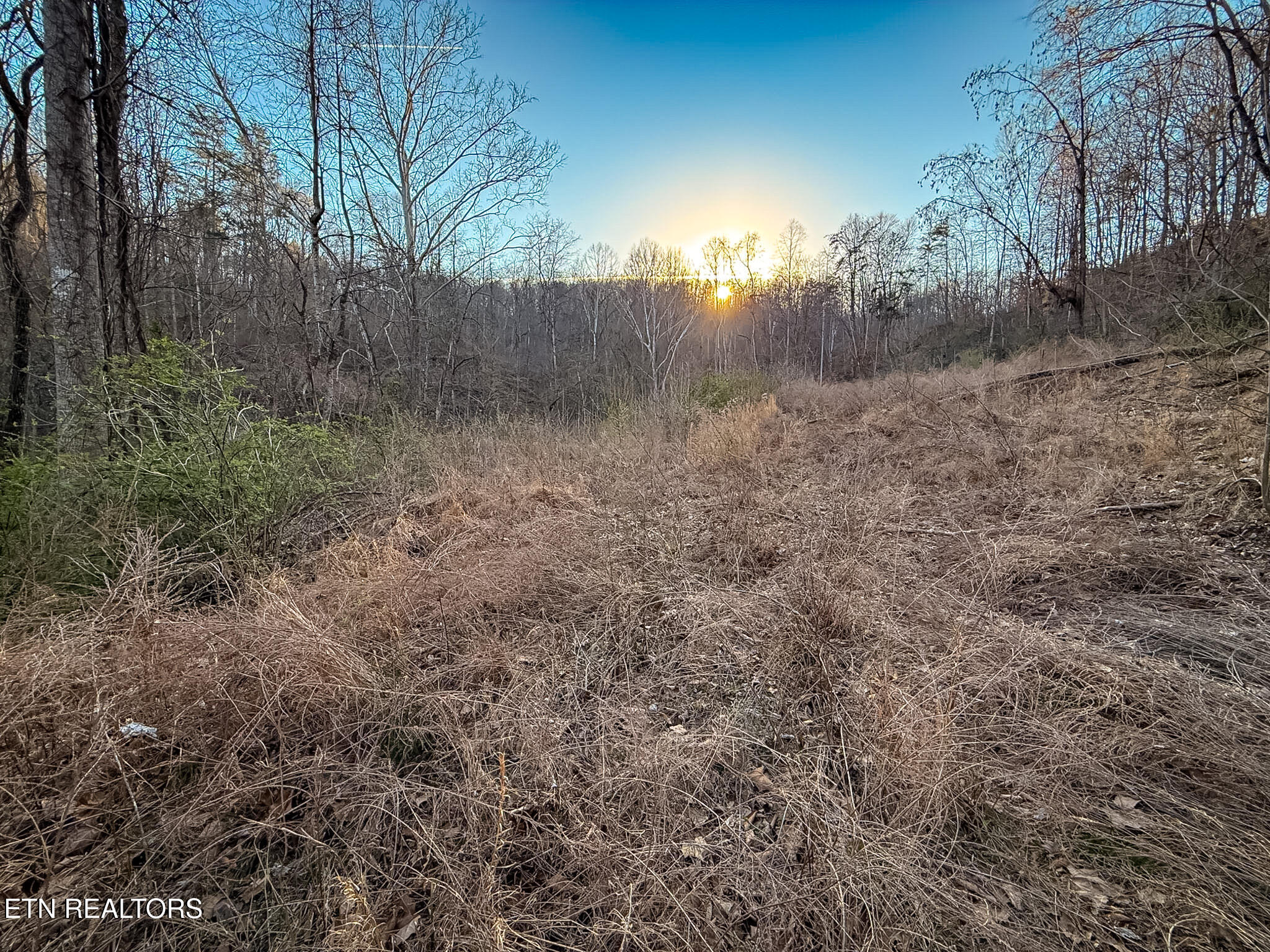110 Braden Chapel Road Speedwell TN 37870