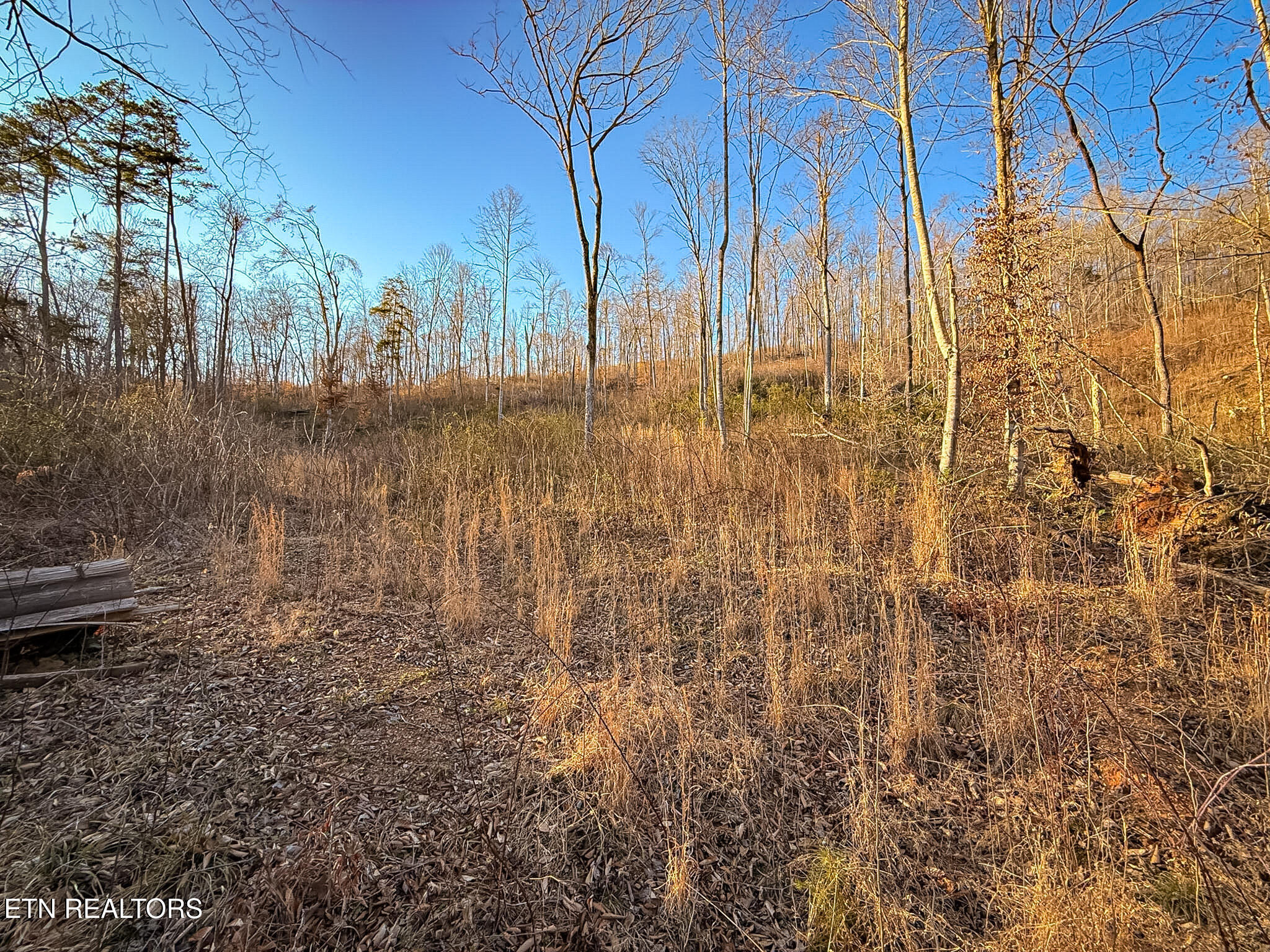 110 Braden Chapel Road Speedwell TN 37870