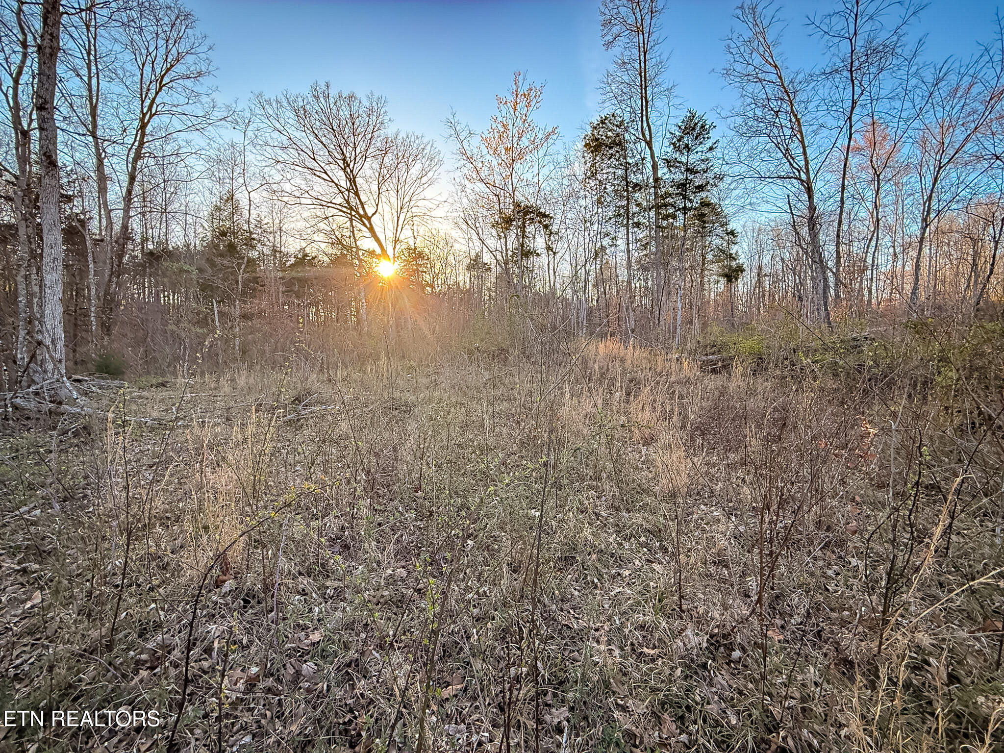 110 Braden Chapel Road Speedwell TN 37870