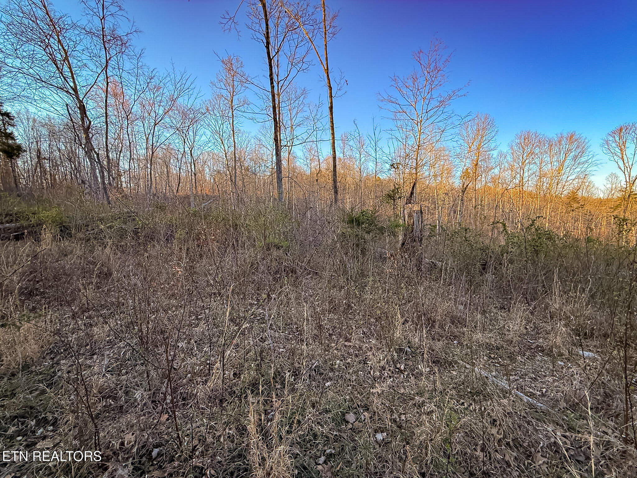 110 Braden Chapel Road Speedwell TN 37870