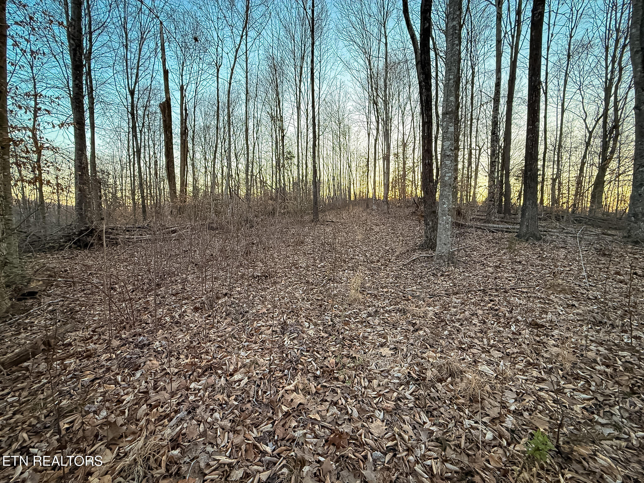 110 Braden Chapel Road Speedwell TN 37870