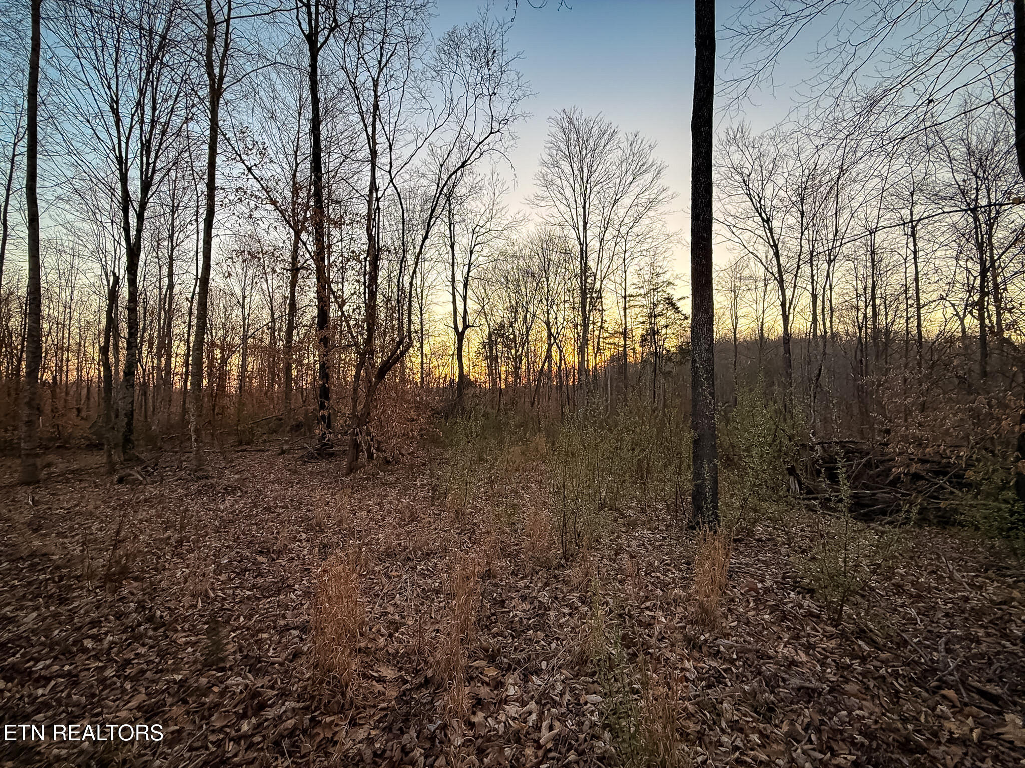 110 Braden Chapel Road Speedwell TN 37870