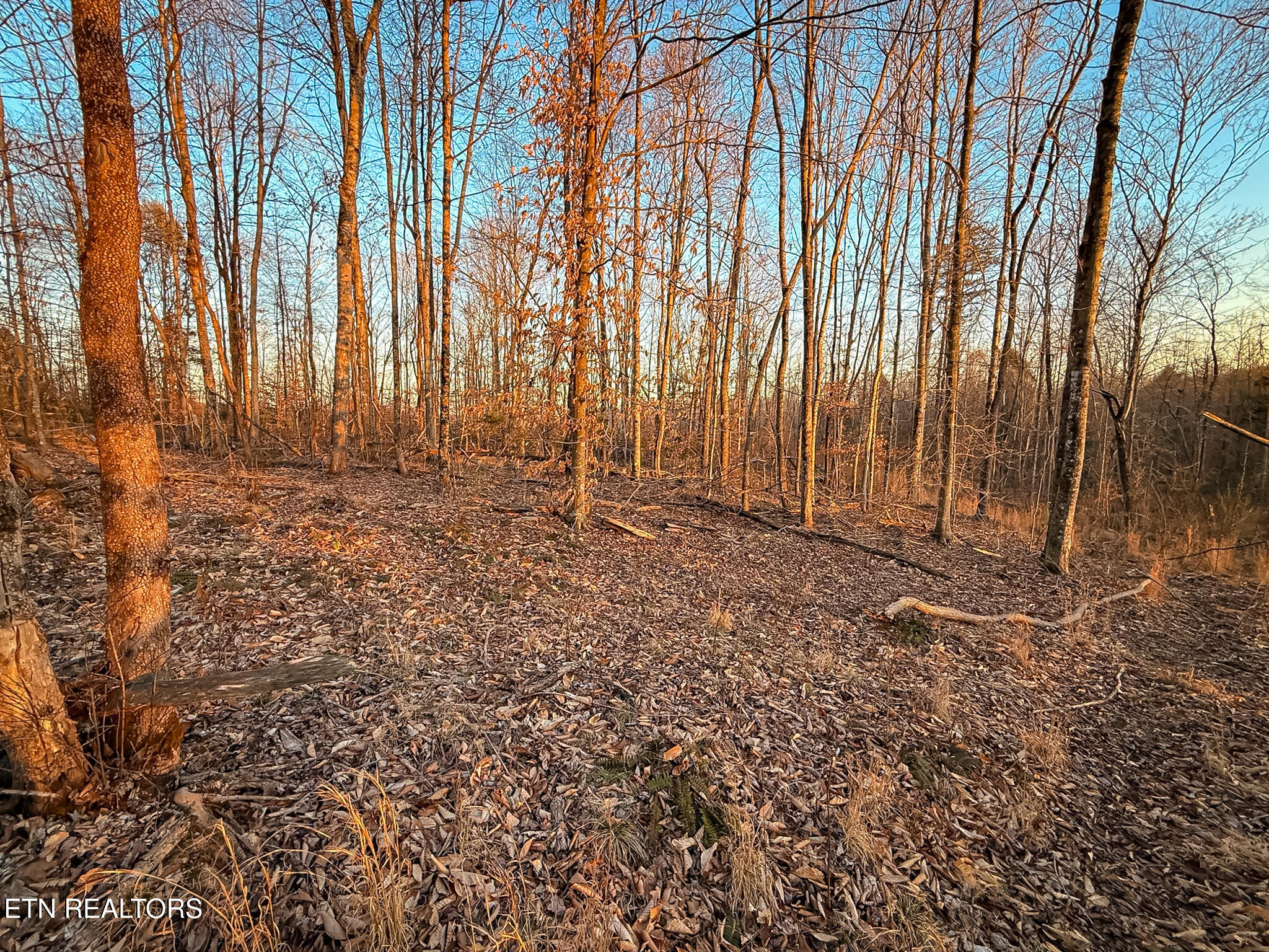 110 Braden Chapel Road Speedwell TN 37870
