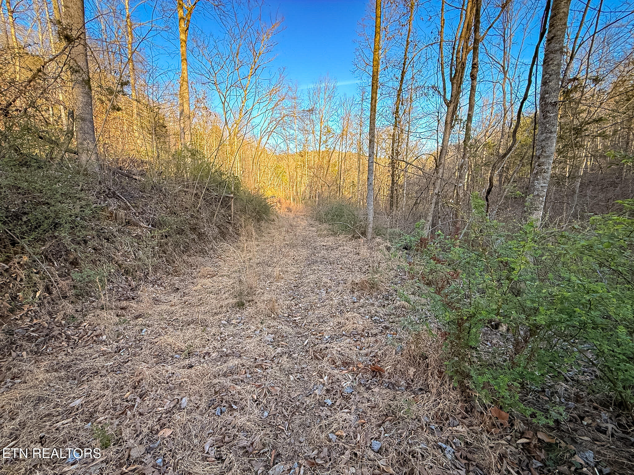 110 Braden Chapel Road Speedwell TN 37870