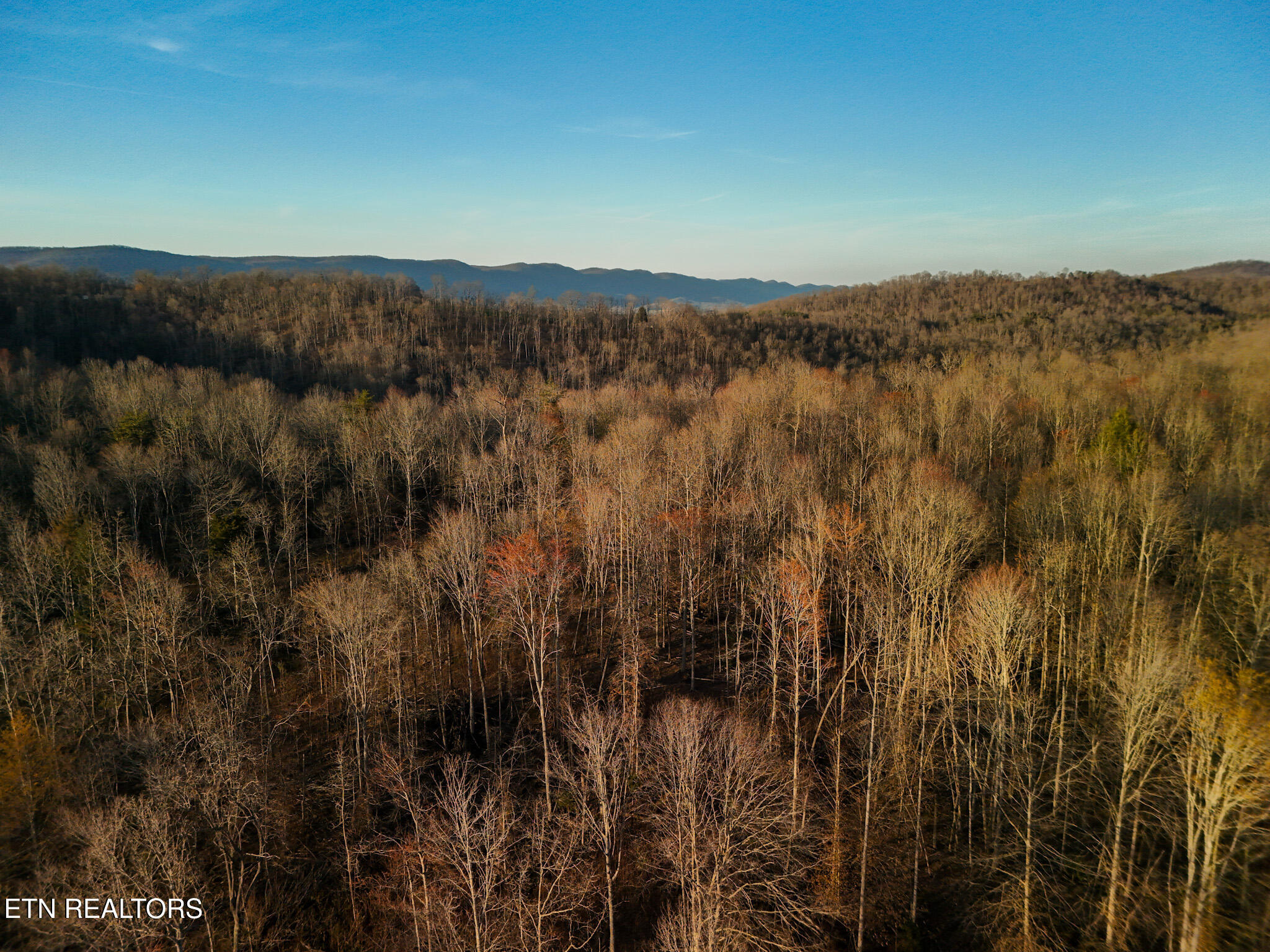110 Braden Chapel Road Speedwell TN 37870