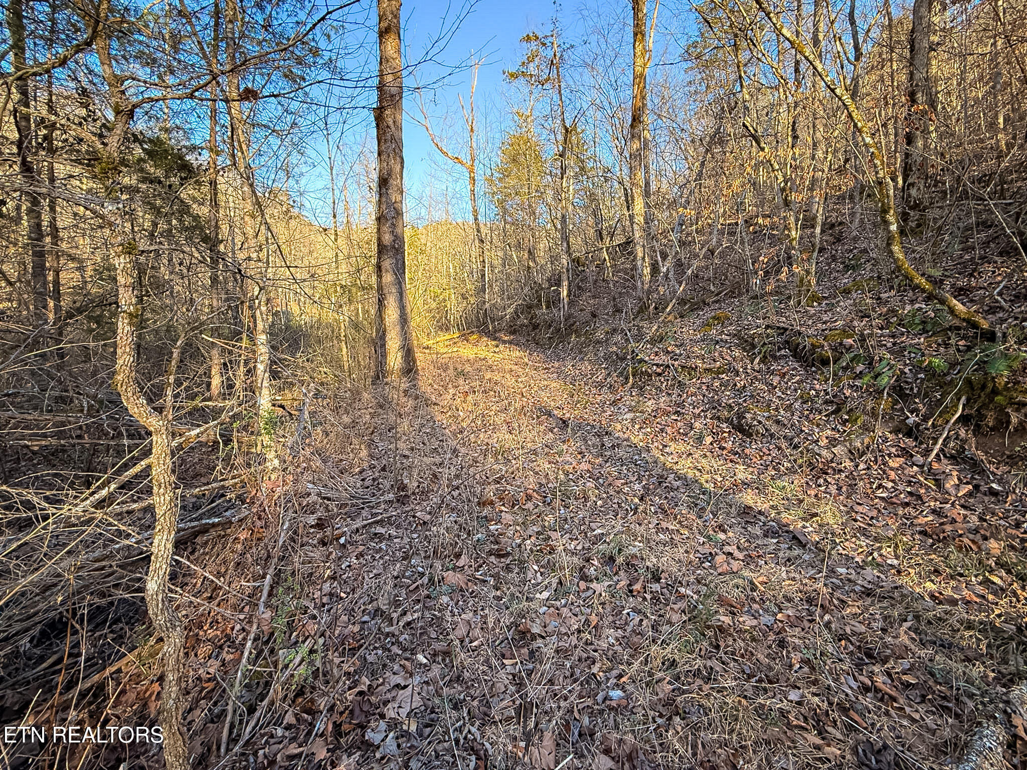 110 Braden Chapel Road Speedwell TN 37870