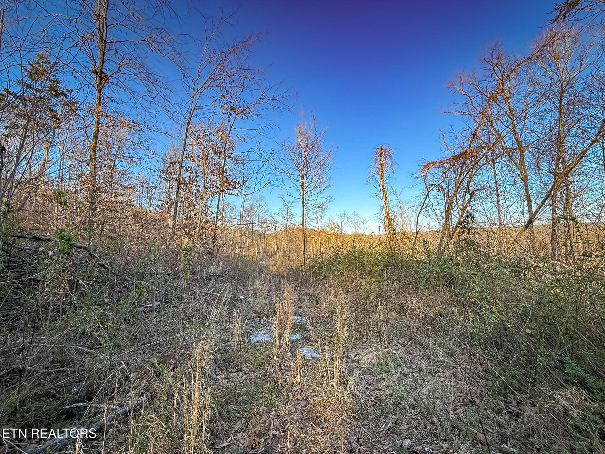 110 Braden Chapel Road Speedwell TN 37870