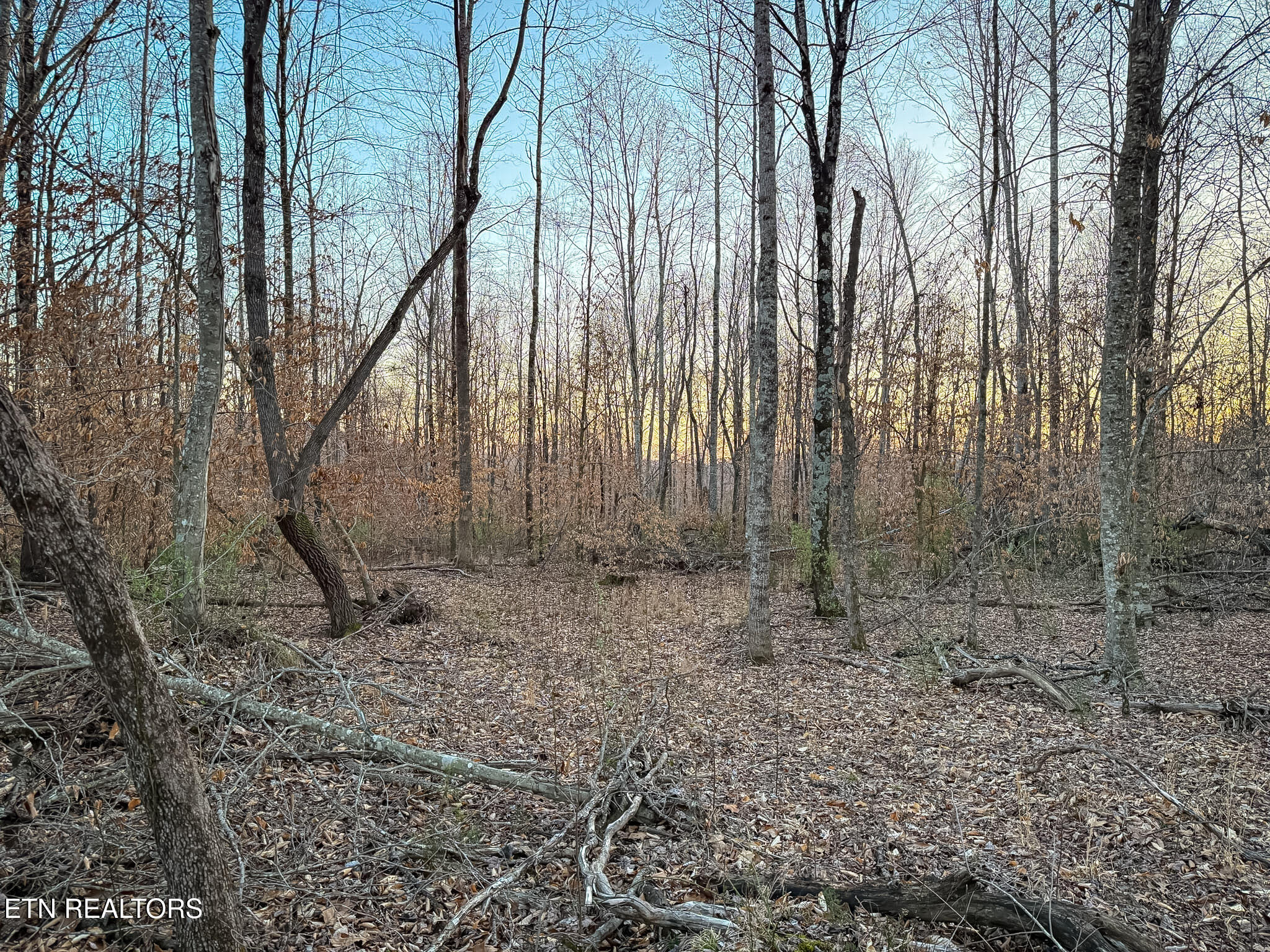 110 Braden Chapel Road Speedwell TN 37870