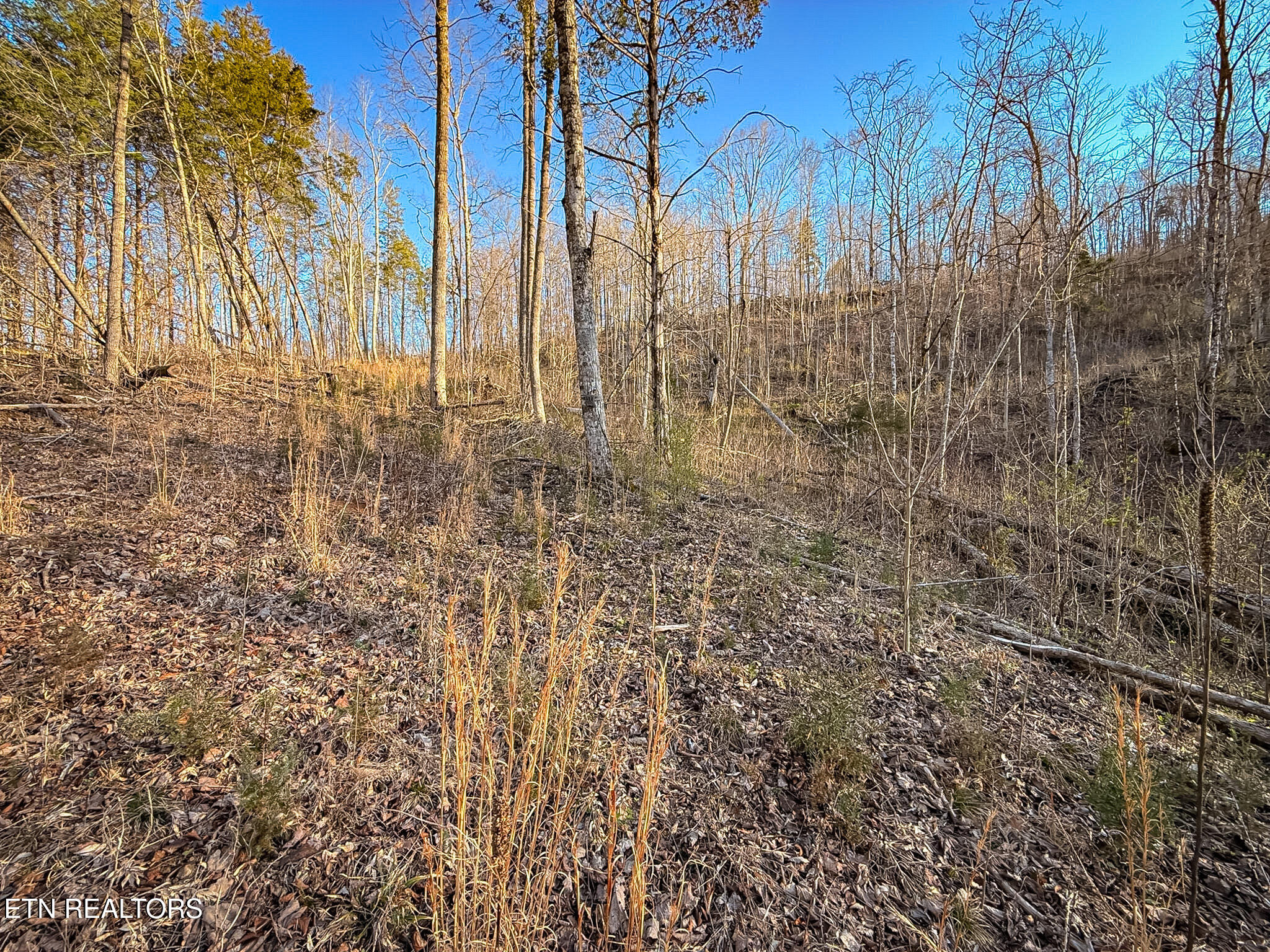 110 Braden Chapel Road Speedwell TN 37870