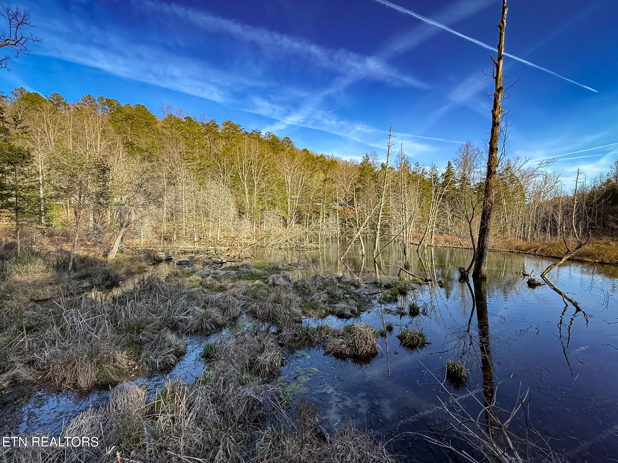 110 Braden Chapel Road Speedwell TN 37870