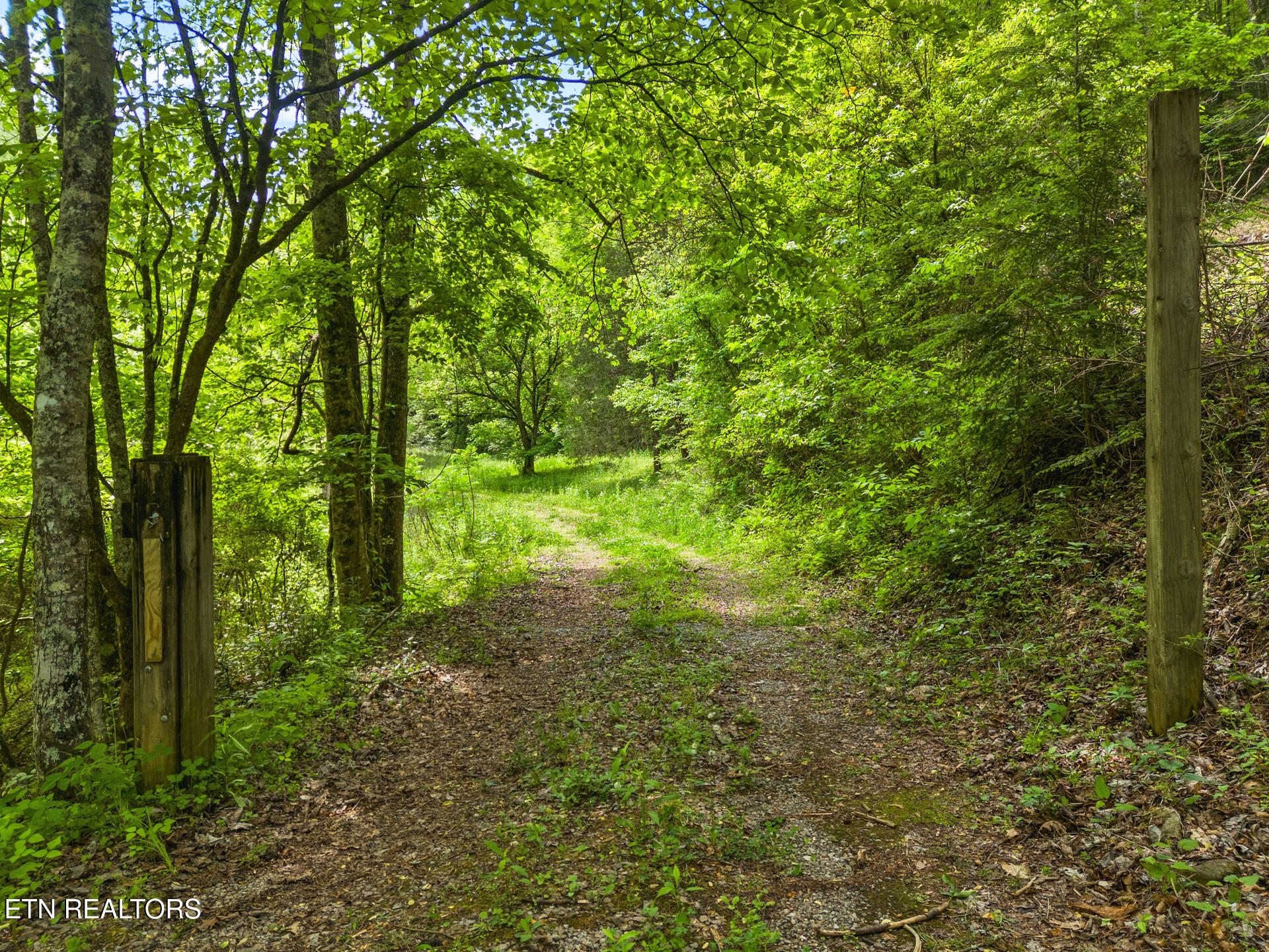 4304 Bruce Ogle Way Pigeon Forge TN 37863