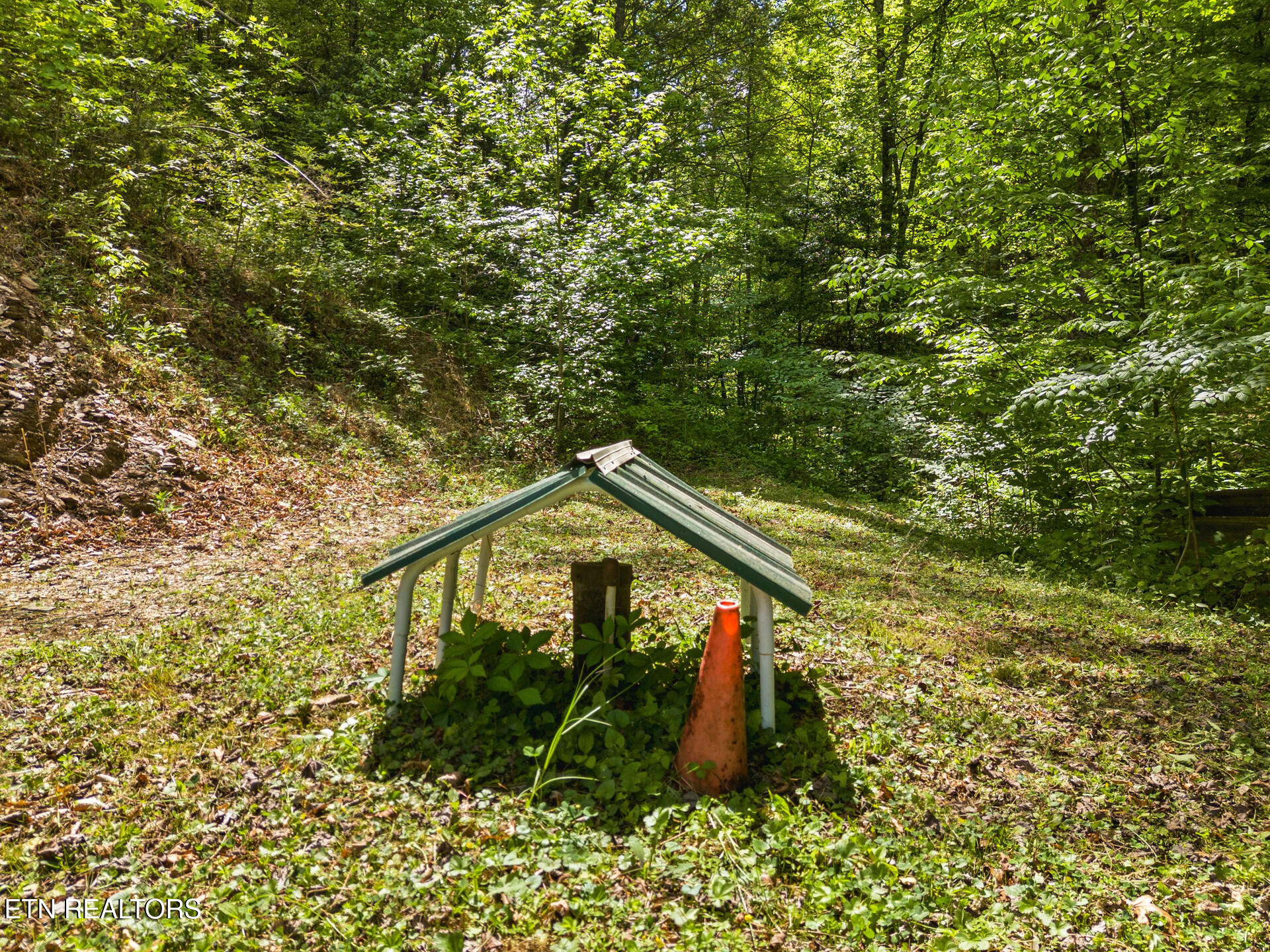 4304 Bruce Ogle Way Pigeon Forge TN 37863