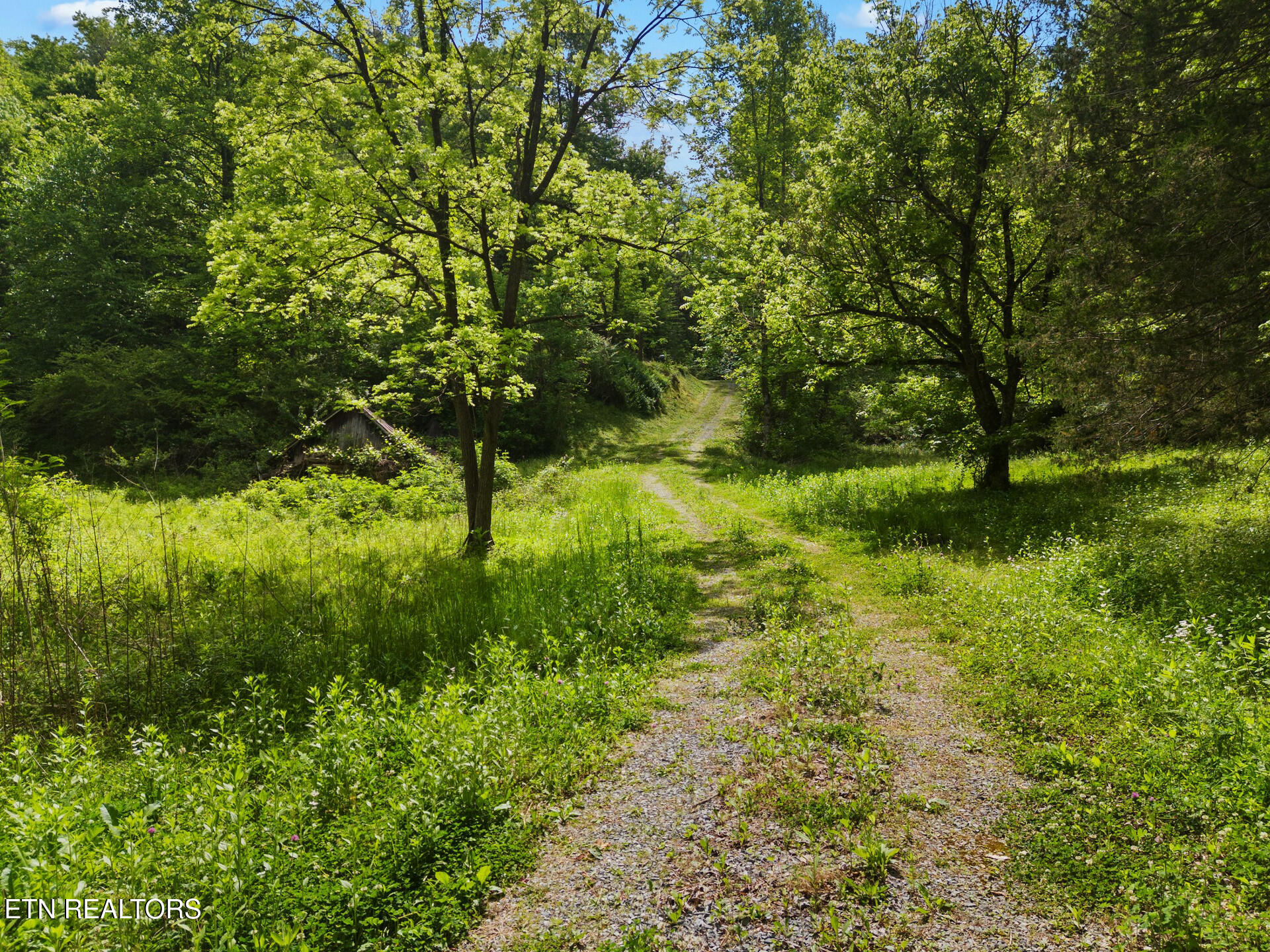 4304 Bruce Ogle Way Pigeon Forge TN 37863