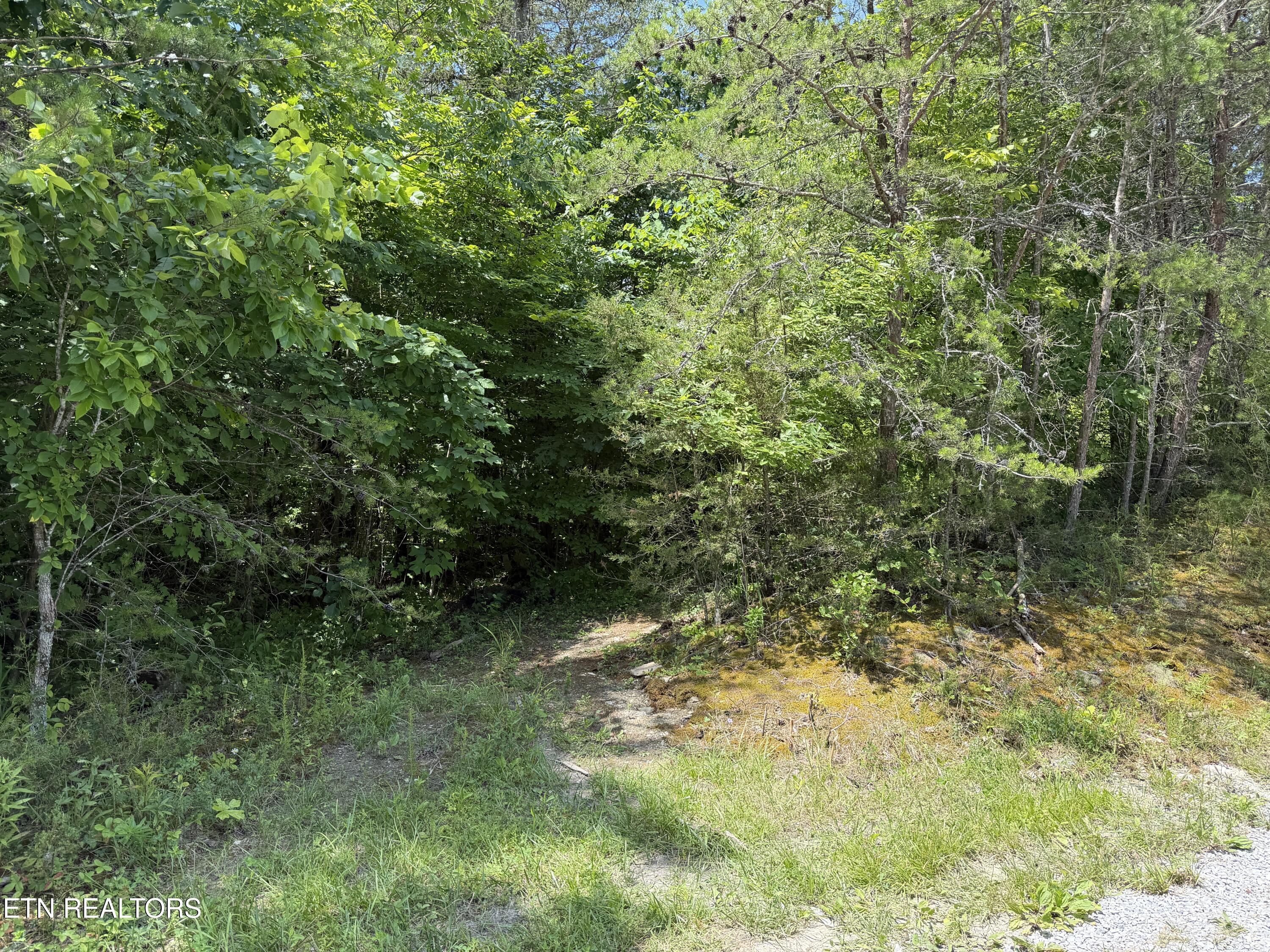 0 Mountain Shores Road Tazewell TN 37879
