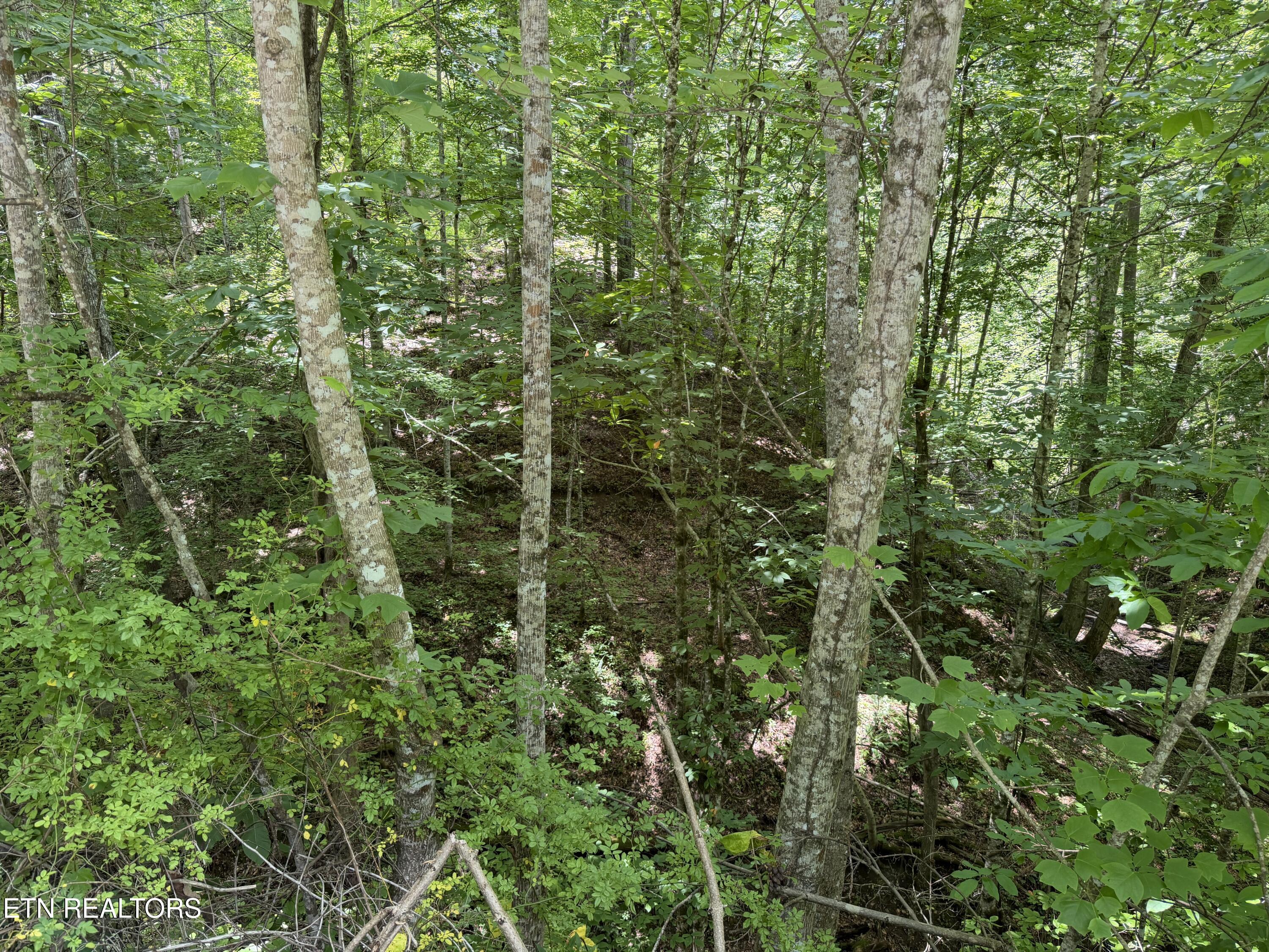 0 Mountain Shores Road Tazewell TN 37879
