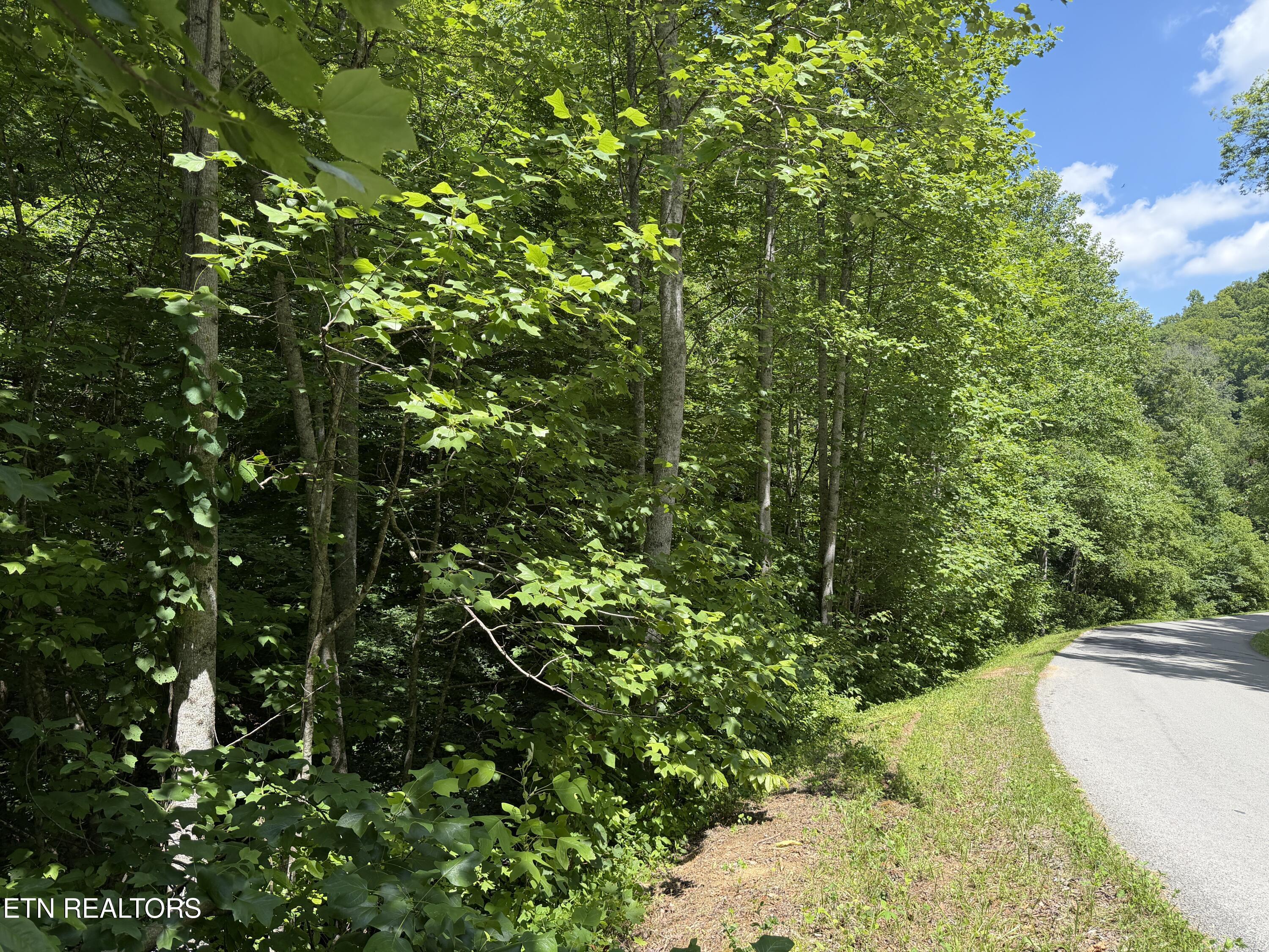 0 Mountain Shores Road Tazewell TN 37879